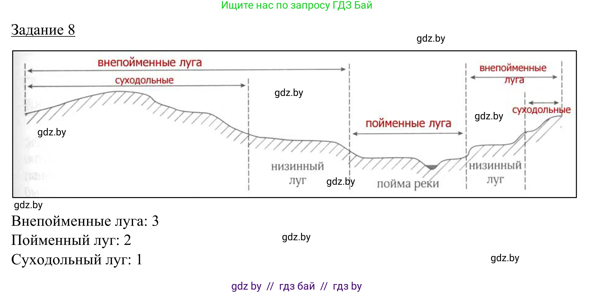 География, 9 класс рабочая тетрадь, авторы: Брилевский Михаил Николаевич, Климович Алеся Владимировна, издательство Белкартография, Минск, 2021, бирюзового цвета, страница 29, номер 8, Решение