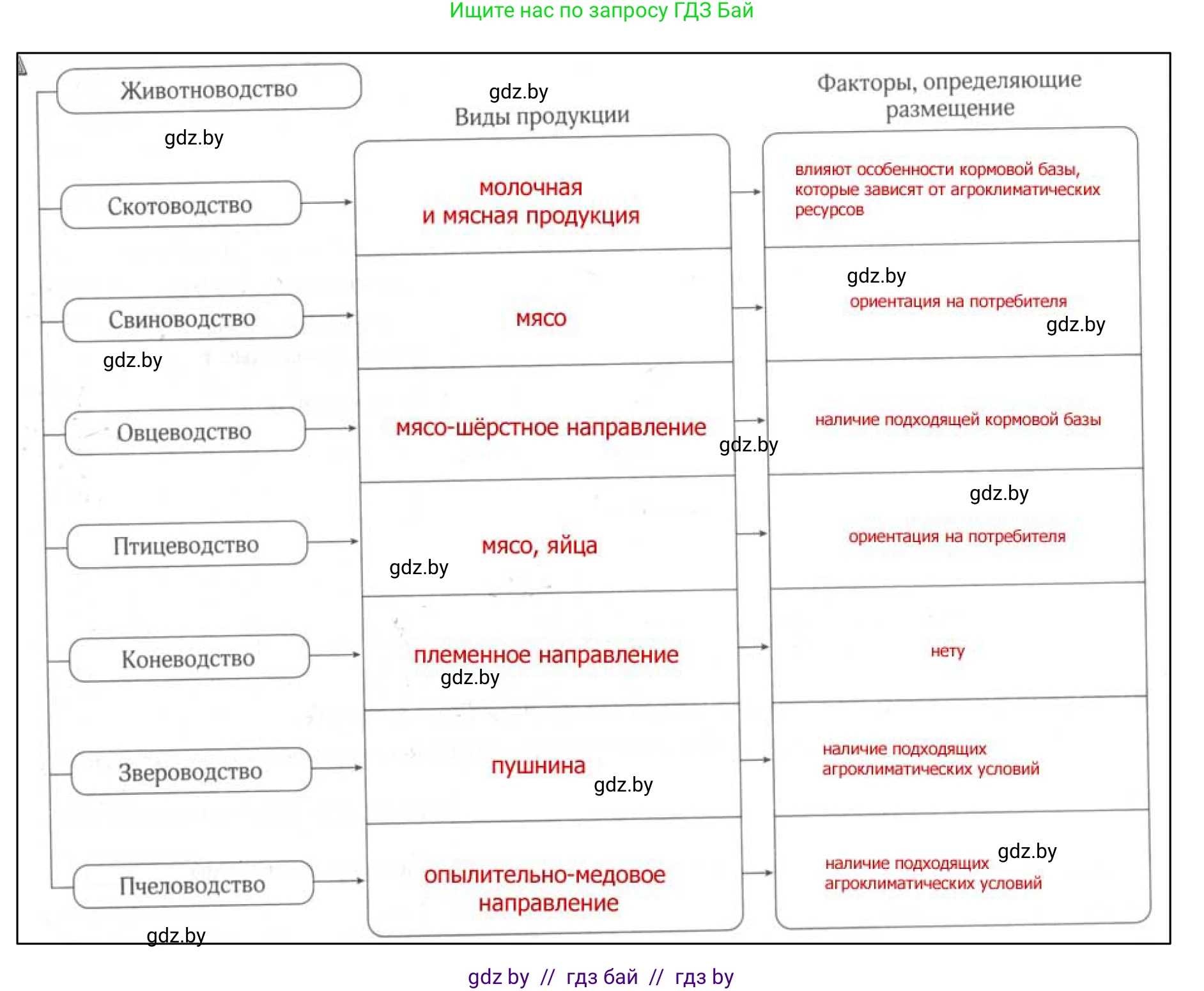 География, 9 класс рабочая тетрадь, авторы: Брилевский Михаил Николаевич, Климович Алеся Владимировна, издательство Белкартография, Минск, 2021, бирюзового цвета, страница 66, номер 4, Решение (продолжение 2)