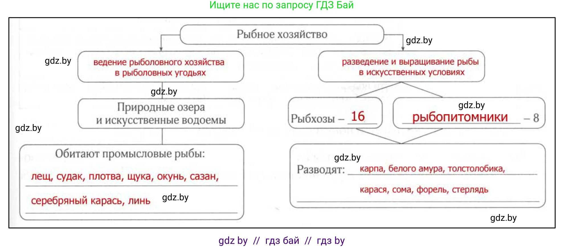География, 9 класс рабочая тетрадь, авторы: Брилевский Михаил Николаевич, Климович Алеся Владимировна, издательство Белкартография, Минск, 2021, бирюзового цвета, страница 69, номер 5, Решение (продолжение 2)