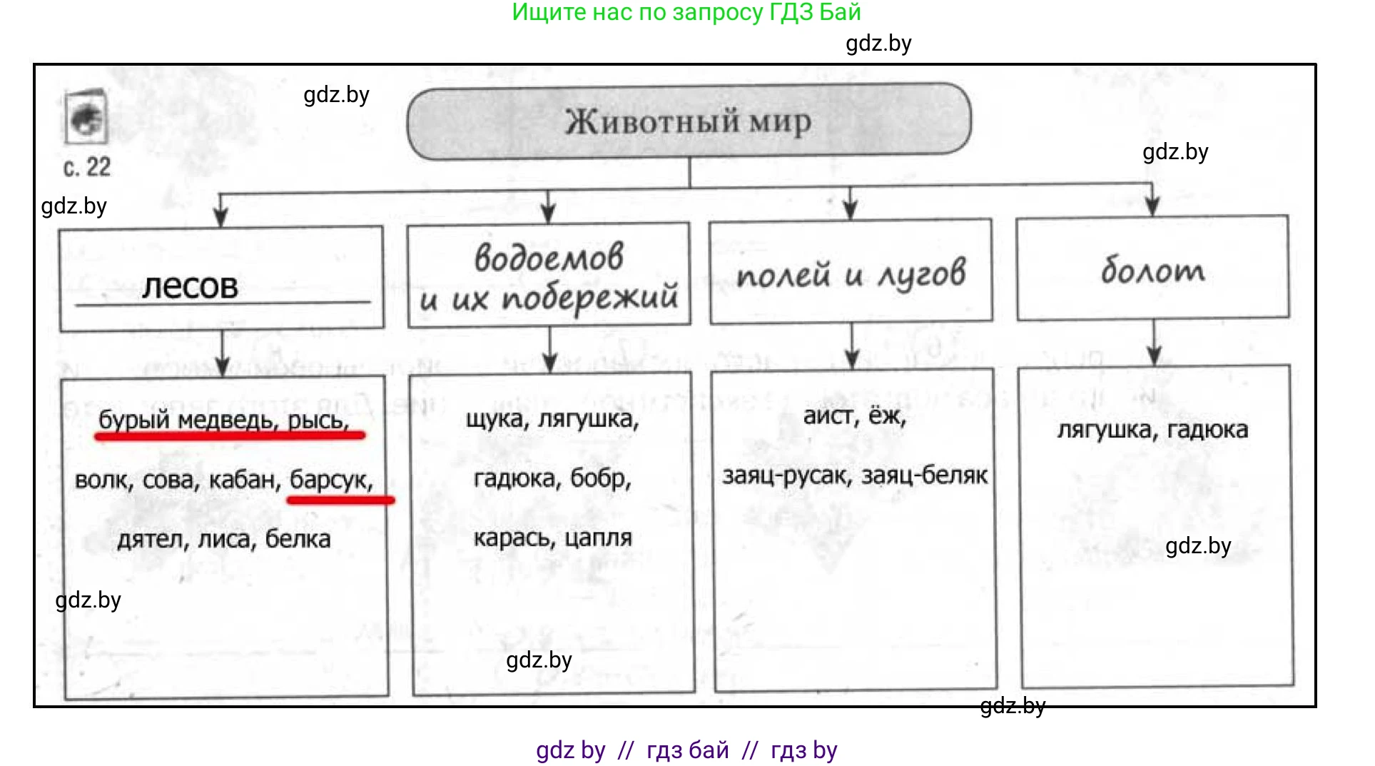 География, 9 класс тетрадь для практических и самостоятельных работ, авторы: Кольмакова Елена Генадьевна, Пикулик Валентина Владимировна, Сарычева Ольга Владимировна, издательство Аверсэв, Минск, 2020, страница 22, номер 7, Решение