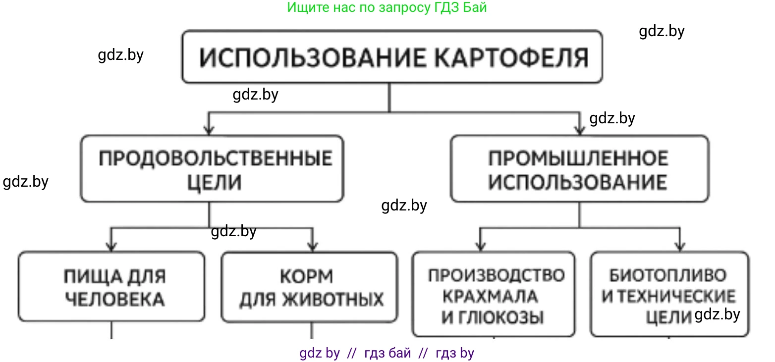 География, 8 класс Тетрадь для практических работ и индивидуальных заданий, авторы: Витченко Александр Николаевич, Антипова Екатерина Анатольевна, Станкевич Наталья Григорьевна, издательство Аверсэв, Минск, 2024, страница 30, номер 6, Решение
