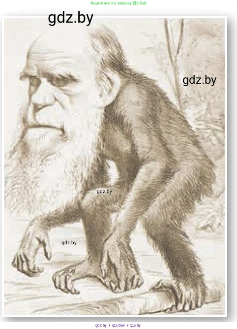 Всемирная история, 8 класс Учебник, авторы: Кошелев Владимир Сергеевич, Кошелева Наталья Владимировна, Байдакова Наталья Владимировна, издательство Издательский центр БГУ, Минск, 2018, красного цвета, страница 53, Условие (продолжение 2)