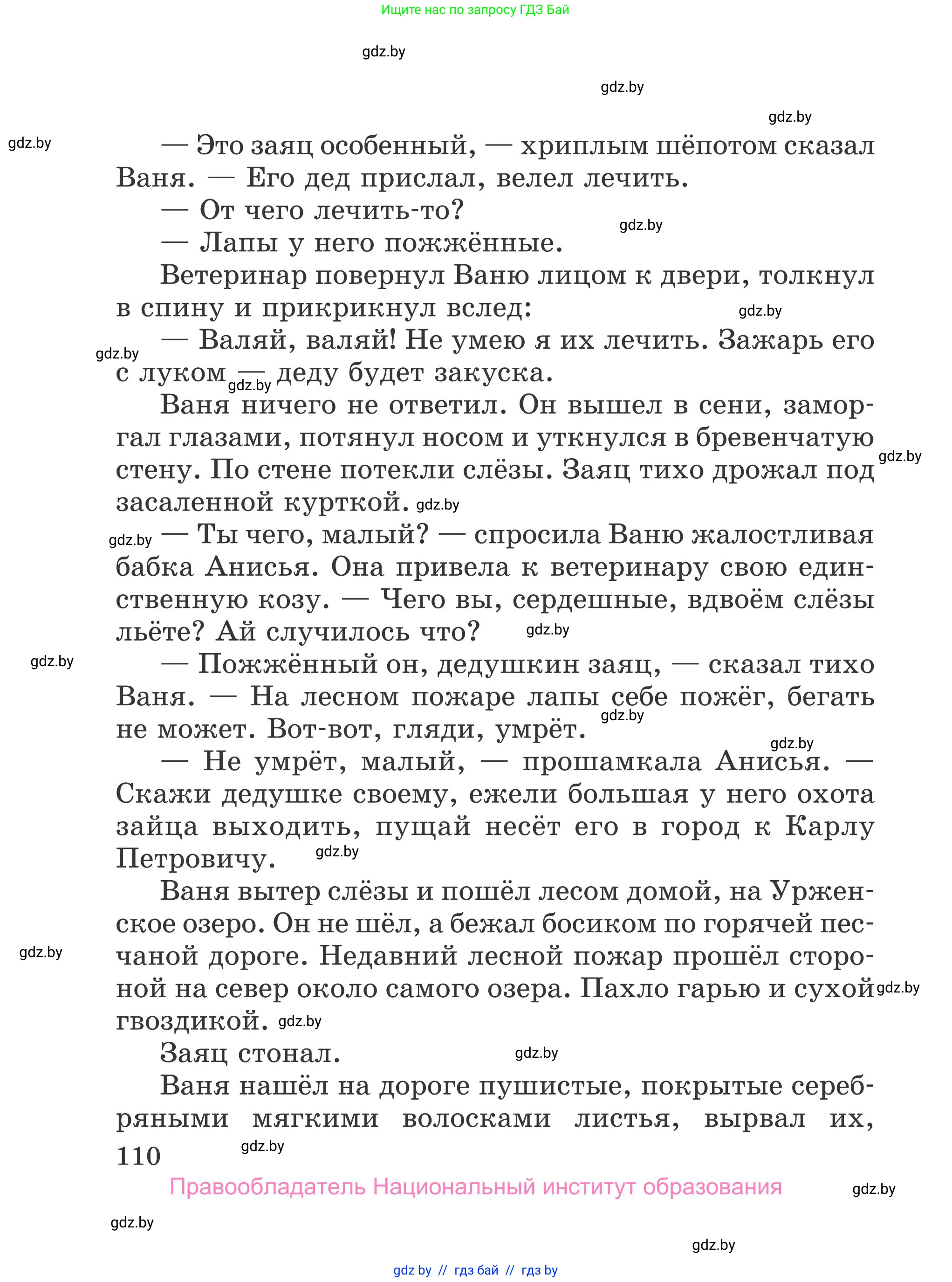 Литературное чтение, 4 класс Учебник, авторы: Воропаева Валентина Степановна, Куцанова Татьяна Степановна, Стремок Ирина Михайловна, издательство Национальный институт образования, Минск, 2018, голубого цвета, Часть 2, страница 110