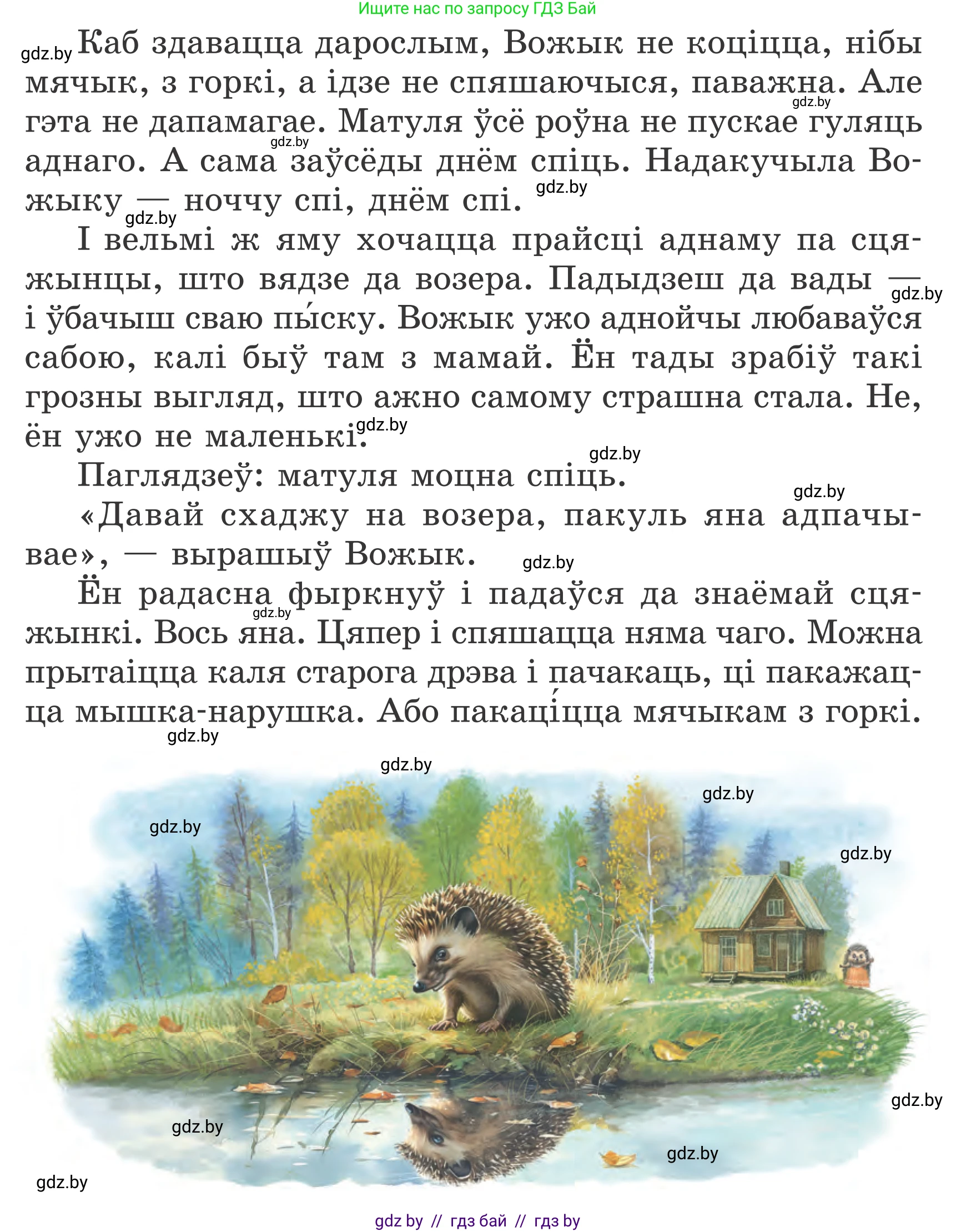 Літаратурнае чытанне, 4 класс Учебник, авторы: Жуковіч Мікалай Васільевіч, Праскаловіч Вольга Уладзіміраўна, издательство Нацыянальны інстытут адукацыі, Минск, 2024, зелёного цвета, Часть 2, страница 17, номер 17, Условие