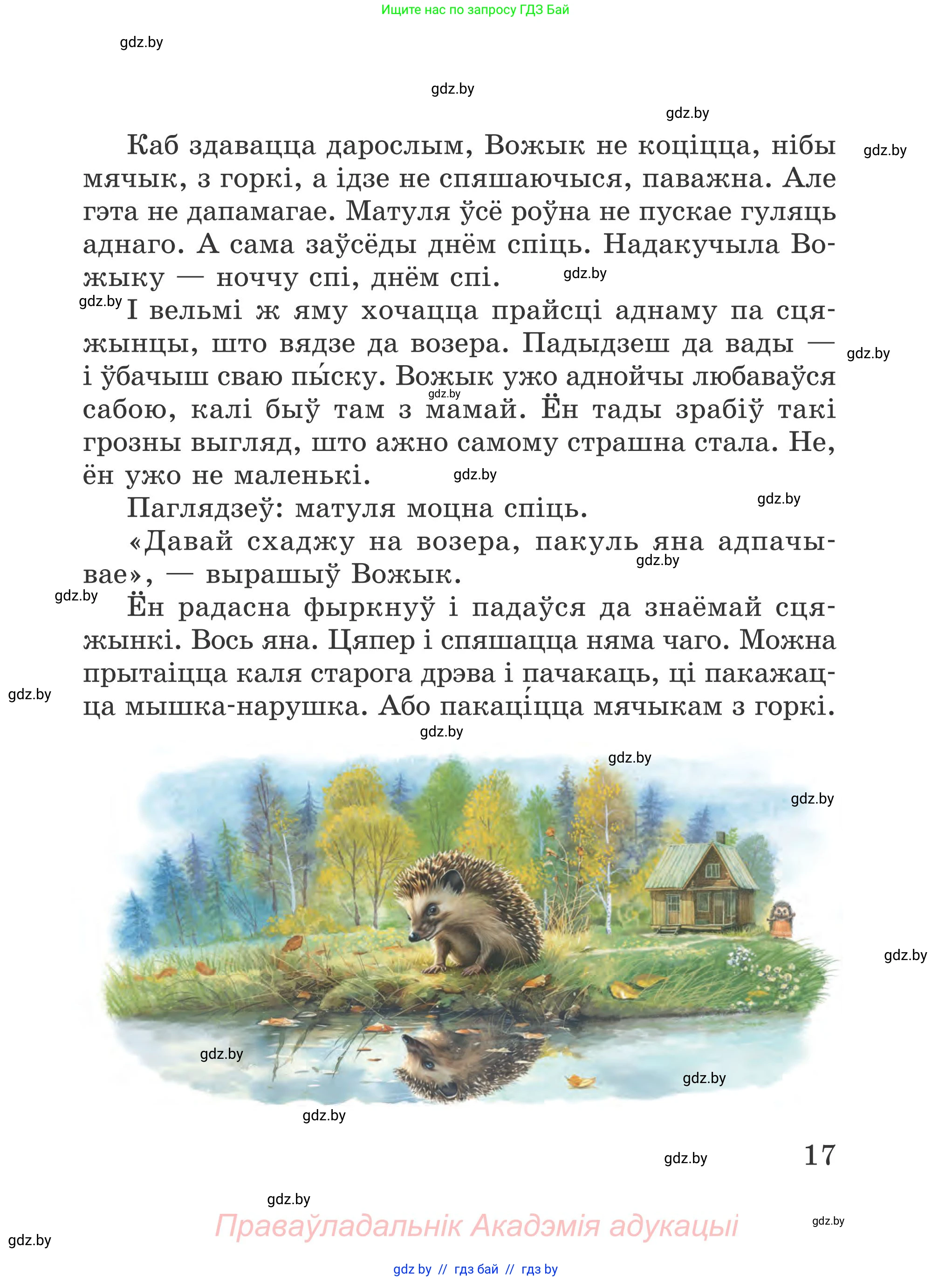 Літаратурнае чытанне, 4 класс Учебник, авторы: Жуковіч Мікалай Васільевіч, Праскаловіч Вольга Уладзіміраўна, издательство Нацыянальны інстытут адукацыі, Минск, 2024, зелёного цвета, Часть 1, страница 17