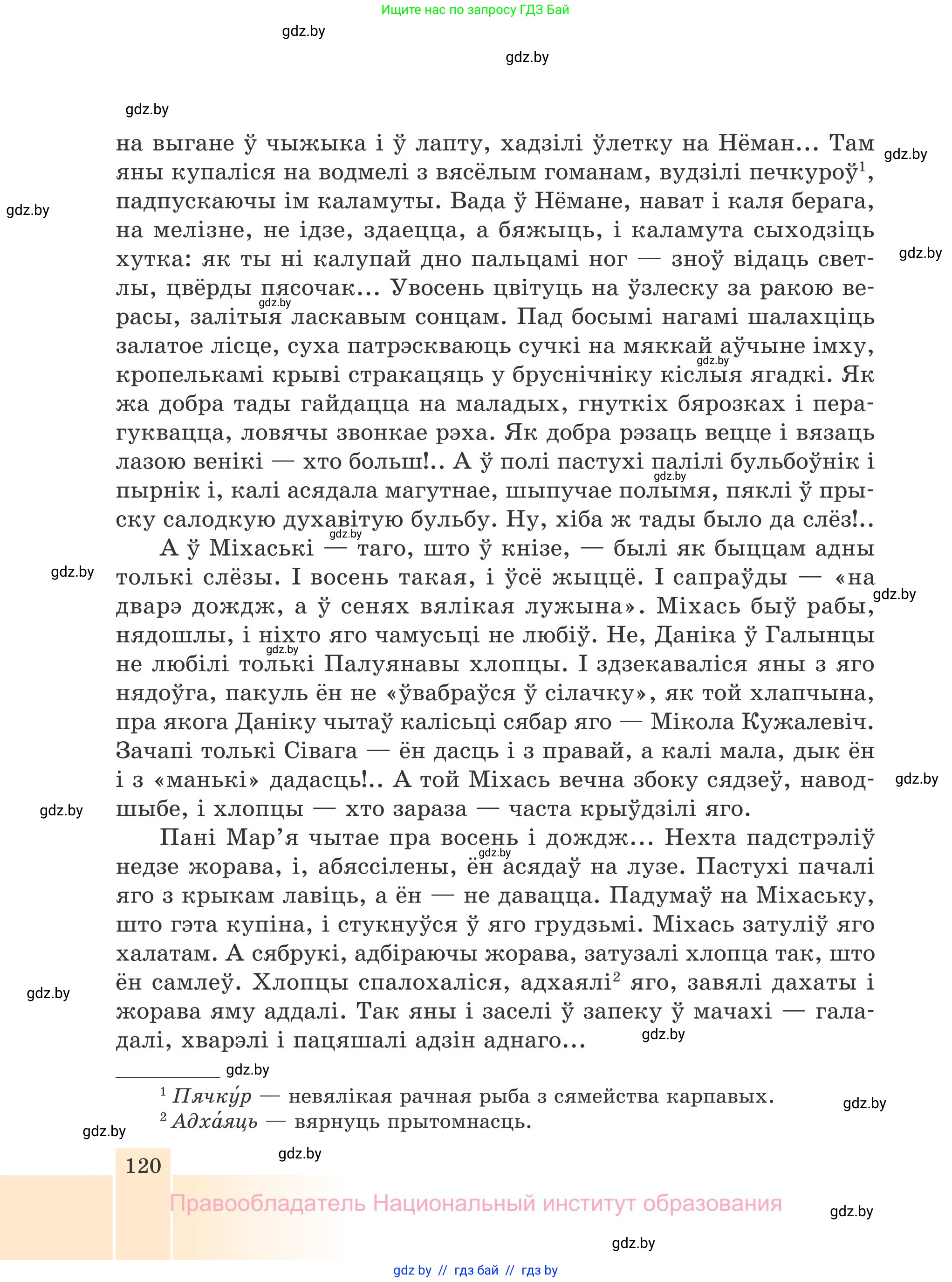 Белорусская литература (Беларуская літаратура), 7 класс Учебник, авторы: Лазарук Міхаіл Арсеньевіч, Логінава Таццяна Уладзіміраўна, Сухава Галіна Анатольеўна, издательство Нацыянальны інстытут адукацыі, Минск, 2023, салатового цвета, страница 120