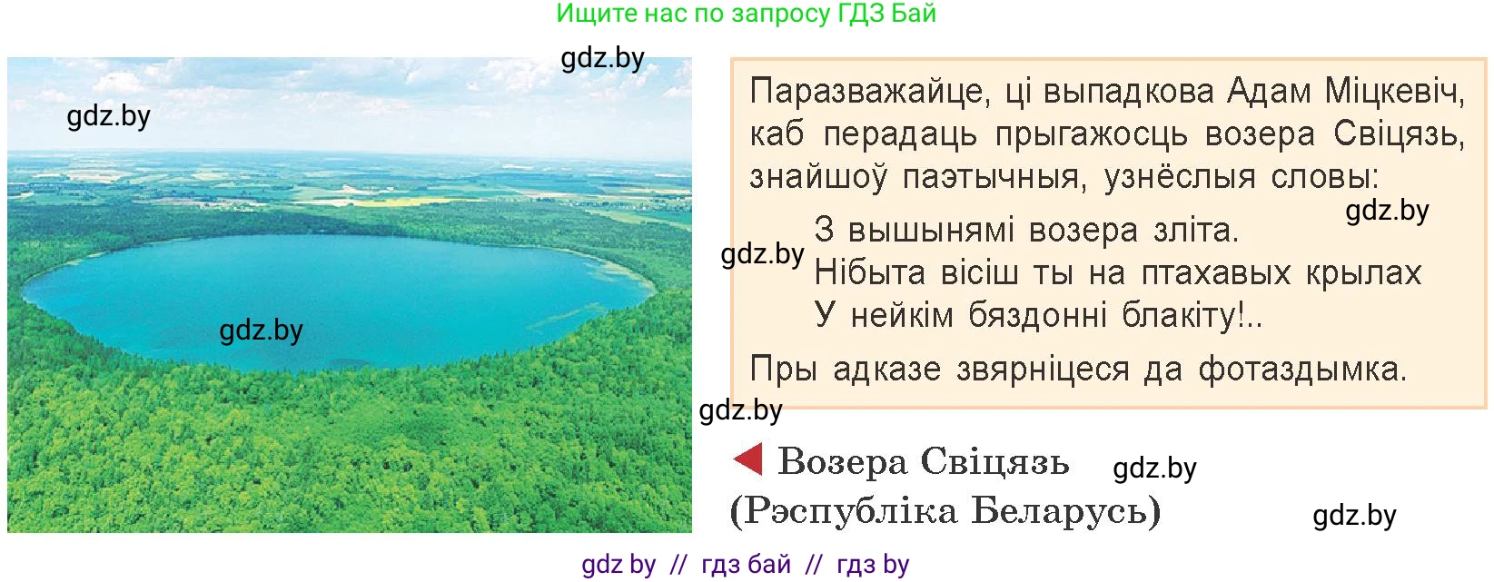 Белорусская литература (Беларуская літаратура), 9 класс Учебник, авторы: Праскаловіч Вольга Уладзіміраўна, Рагойша Вячаслаў Пятровіч, Шамякіна Таццяна Іванаўна, Кабржыцкая Т В, Жуковіч Мікалай Васільевіч, издательство Нацыянальны інстытут адукацыі, Минск, 2019, салатового цвета, страница 58, Условие