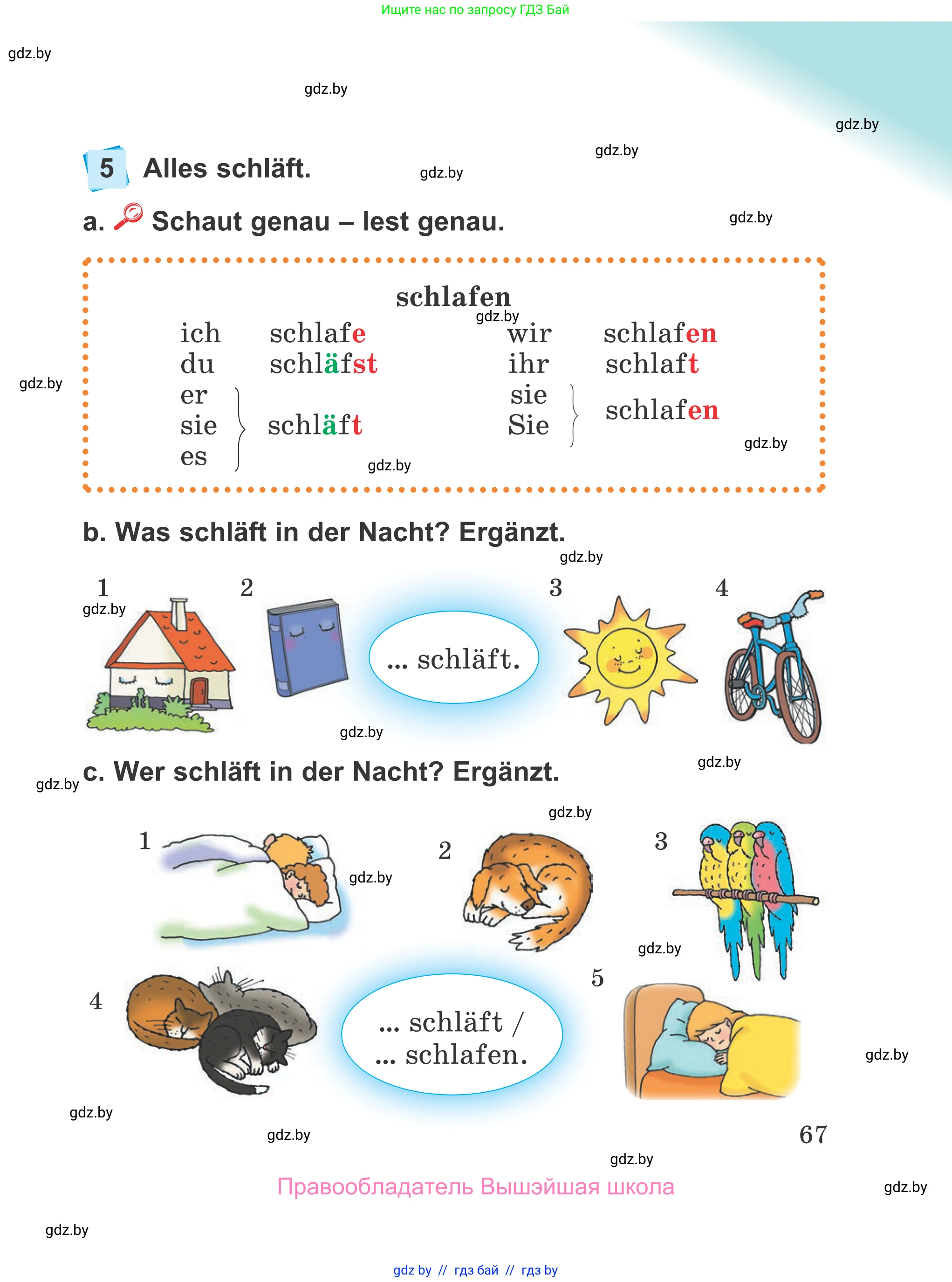Немецкий язык (Deutsch), 4 класс Учебник (Schülerbuch), авторы: Будько Антонина Филипповна (Budjko Antonina), Урбанович Инна Ювинальевна (Urbanowitsch Ina), издательство Вышэйшая школа, Минск, 2019, жёлтого цвета, Часть 1, страница 67