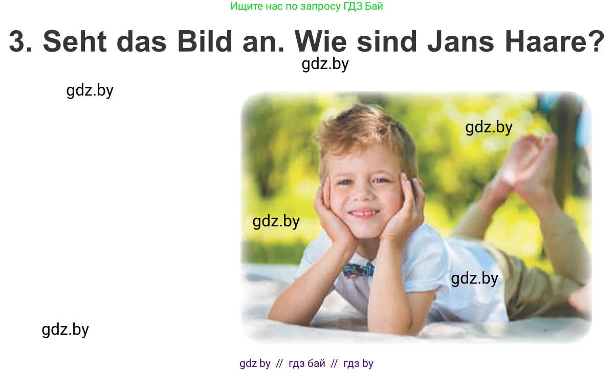Немецкий язык (Deutsch), 4 класс Учебник (Schülerbuch), авторы: Будько Антонина Филипповна (Budjko Antonina), Урбанович Инна Ювинальевна (Urbanowitsch Ina), издательство Вышэйшая школа, Минск, 2019, жёлтого цвета, Часть 1, страница 127, номер 3, Условие