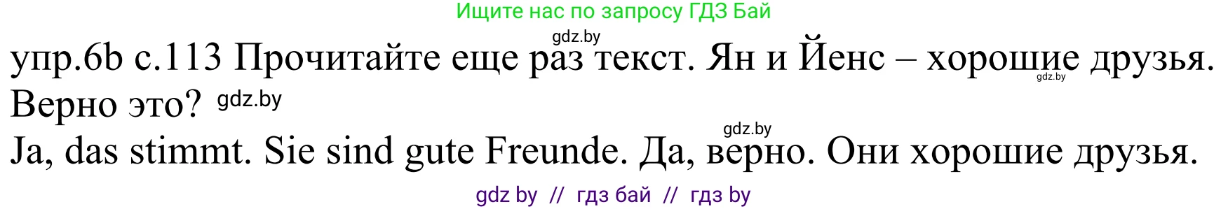 Немецкий язык (Deutsch), 4 класс Учебник (Schülerbuch), авторы: Будько Антонина Филипповна (Budjko Antonina), Урбанович Инна Ювинальевна (Urbanowitsch Ina), издательство Вышэйшая школа, Минск, 2019, жёлтого цвета, Часть 1, страница 113, номер 6b, Решение
