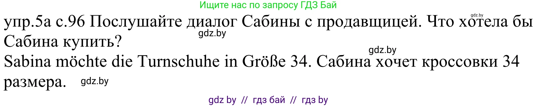 Немецкий язык (Deutsch), 4 класс Учебник (Schülerbuch), авторы: Будько Антонина Филипповна (Budjko Antonina), Урбанович Инна Ювинальевна (Urbanowitsch Ina), издательство Вышэйшая школа, Минск, 2019, жёлтого цвета, Часть 2, страница 96, номер 5a, Решение