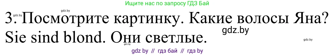 Немецкий язык (Deutsch), 4 класс Учебник (Schülerbuch), авторы: Будько Антонина Филипповна (Budjko Antonina), Урбанович Инна Ювинальевна (Urbanowitsch Ina), издательство Вышэйшая школа, Минск, 2019, жёлтого цвета, Часть 1, страница 127, номер 3, Решение