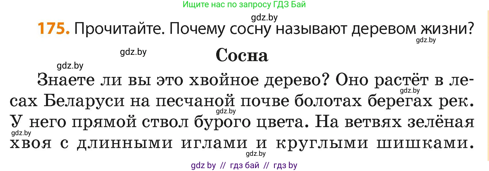 Русский язык, 4 класс Учебник, авторы: Антипова Маргарита Борисовна, Верниковская Алла Викторовна, Грабчикова Елена Самарьевна, издательство Академия образования, Минск, 2024, оранжевого цвета, Часть 2, страница 105, номер 175, Условие