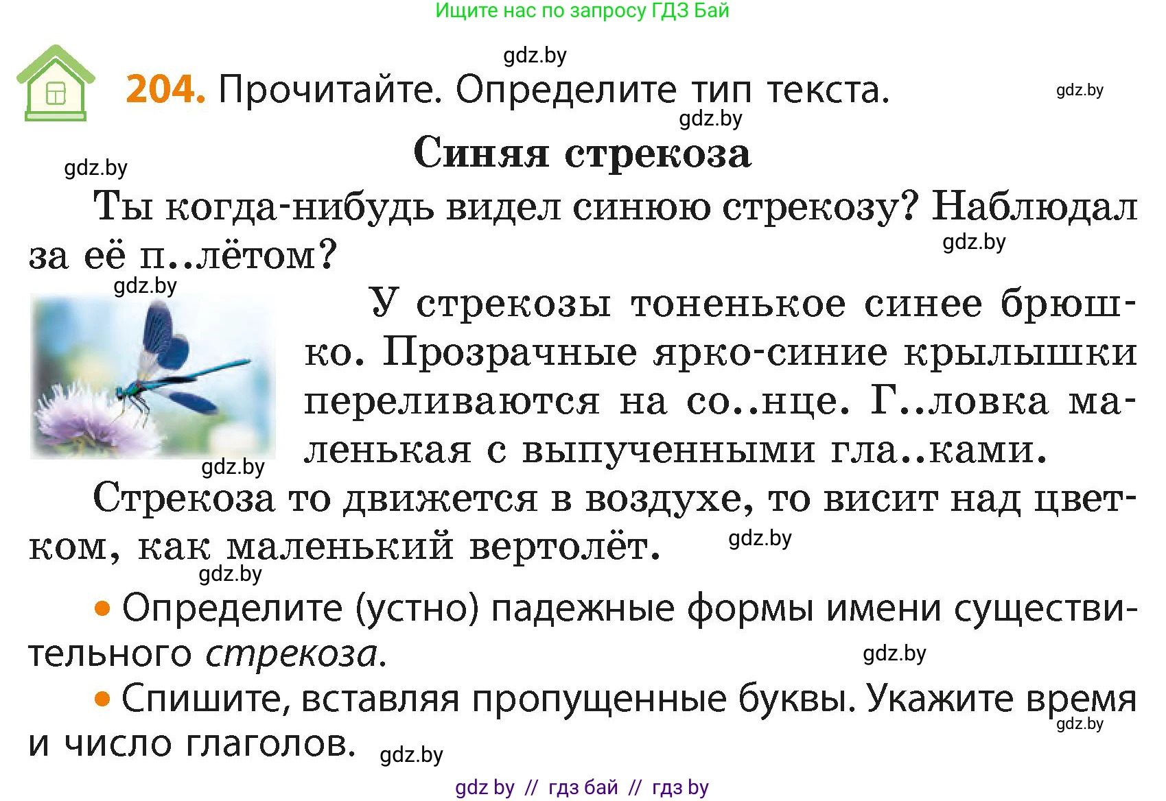 Русский язык, 4 класс Учебник, авторы: Антипова Маргарита Борисовна, Верниковская Алла Викторовна, Грабчикова Елена Самарьевна, издательство Академия образования, Минск, 2024, оранжевого цвета, Часть 2, страница 124, номер 204, Условие