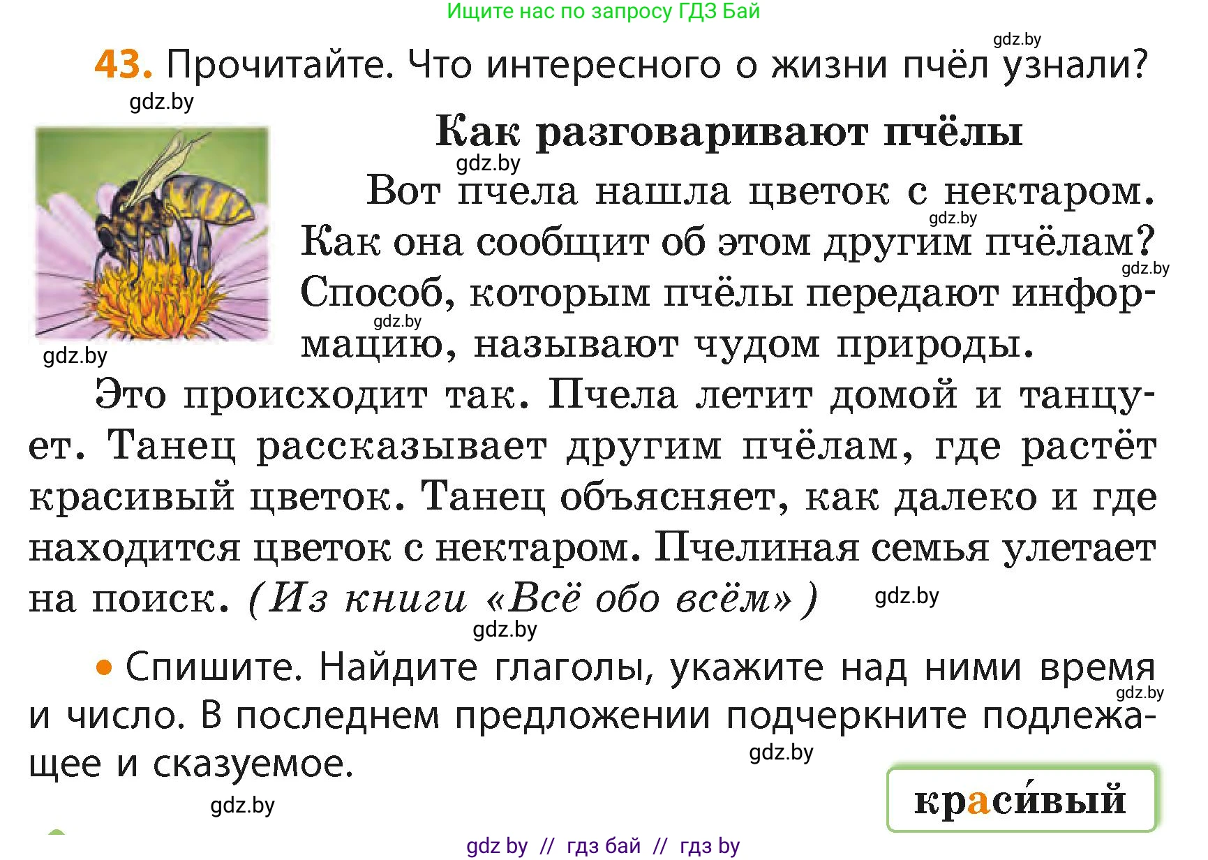 Русский язык, 4 класс Учебник, авторы: Антипова Маргарита Борисовна, Верниковская Алла Викторовна, Грабчикова Елена Самарьевна, издательство Академия образования, Минск, 2024, оранжевого цвета, Часть 2, страница 30, номер 43, Условие