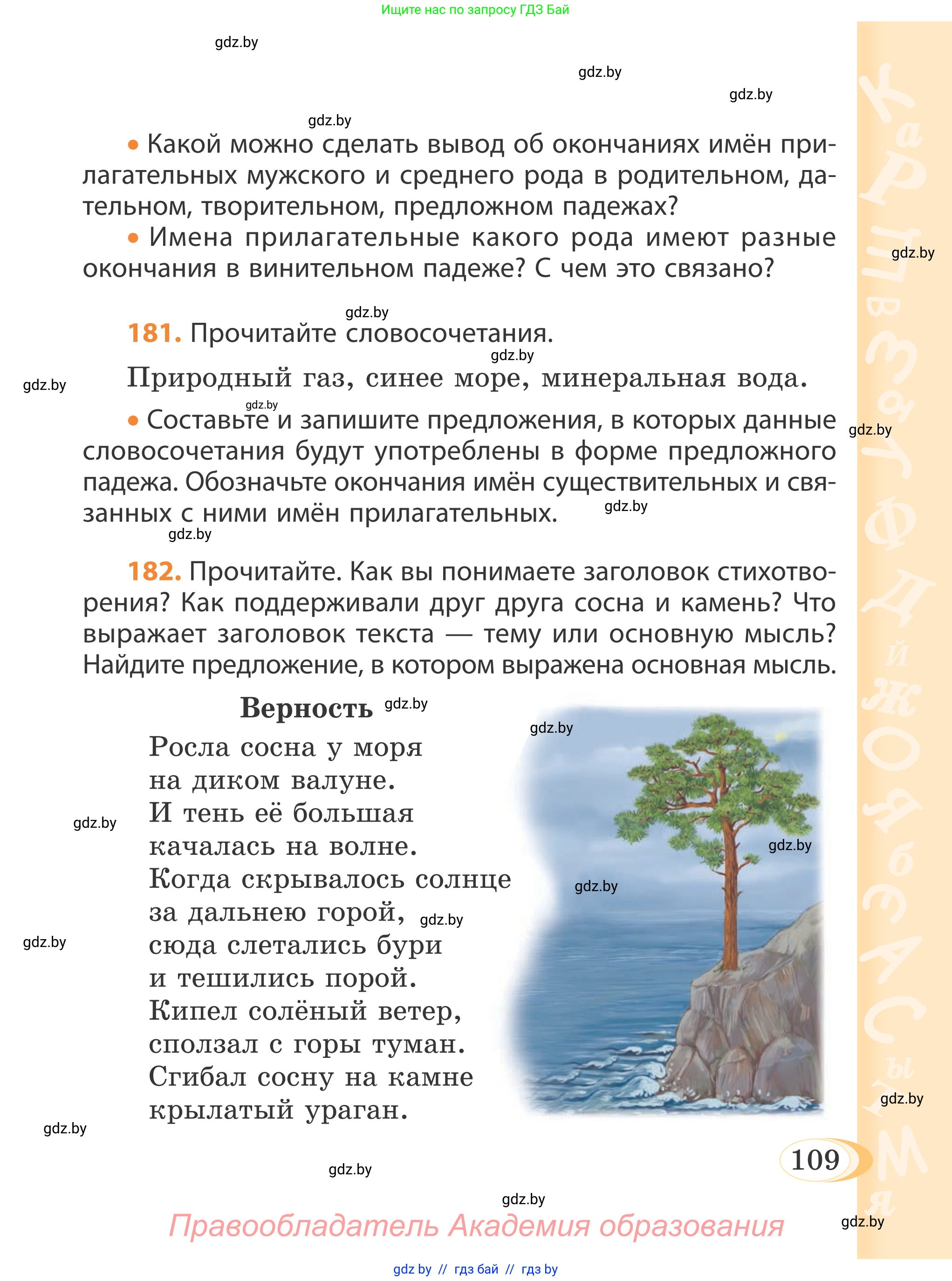 Русский язык, 4 класс Учебник, авторы: Антипова Маргарита Борисовна, Верниковская Алла Викторовна, Грабчикова Елена Самарьевна, издательство Академия образования, Минск, 2024, оранжевого цвета, Часть 1, страница 62, номер 109, Условие