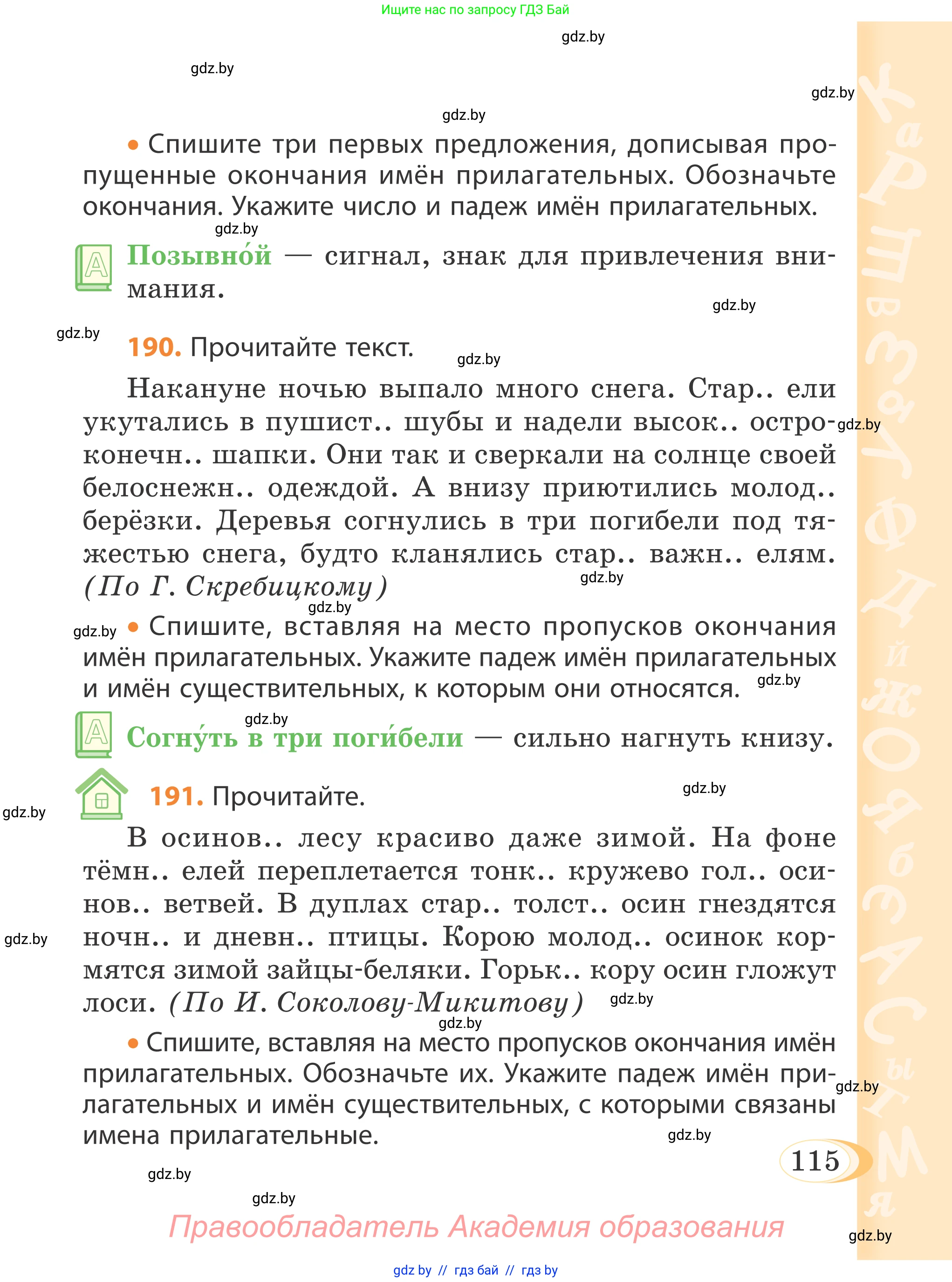 Русский язык, 4 класс Учебник, авторы: Антипова Маргарита Борисовна, Верниковская Алла Викторовна, Грабчикова Елена Самарьевна, издательство Академия образования, Минск, 2024, оранжевого цвета, Часть 1, страница 115