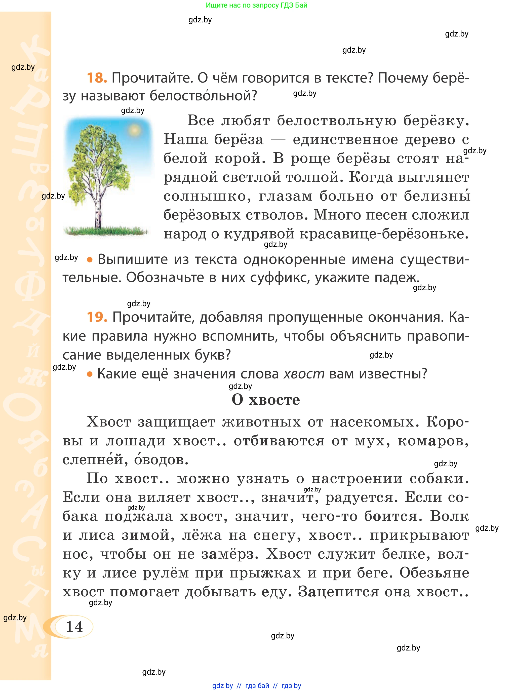 Русский язык, 4 класс Учебник, авторы: Антипова Маргарита Борисовна, Верниковская Алла Викторовна, Грабчикова Елена Самарьевна, издательство Академия образования, Минск, 2024, оранжевого цвета, Часть 1, страница 14