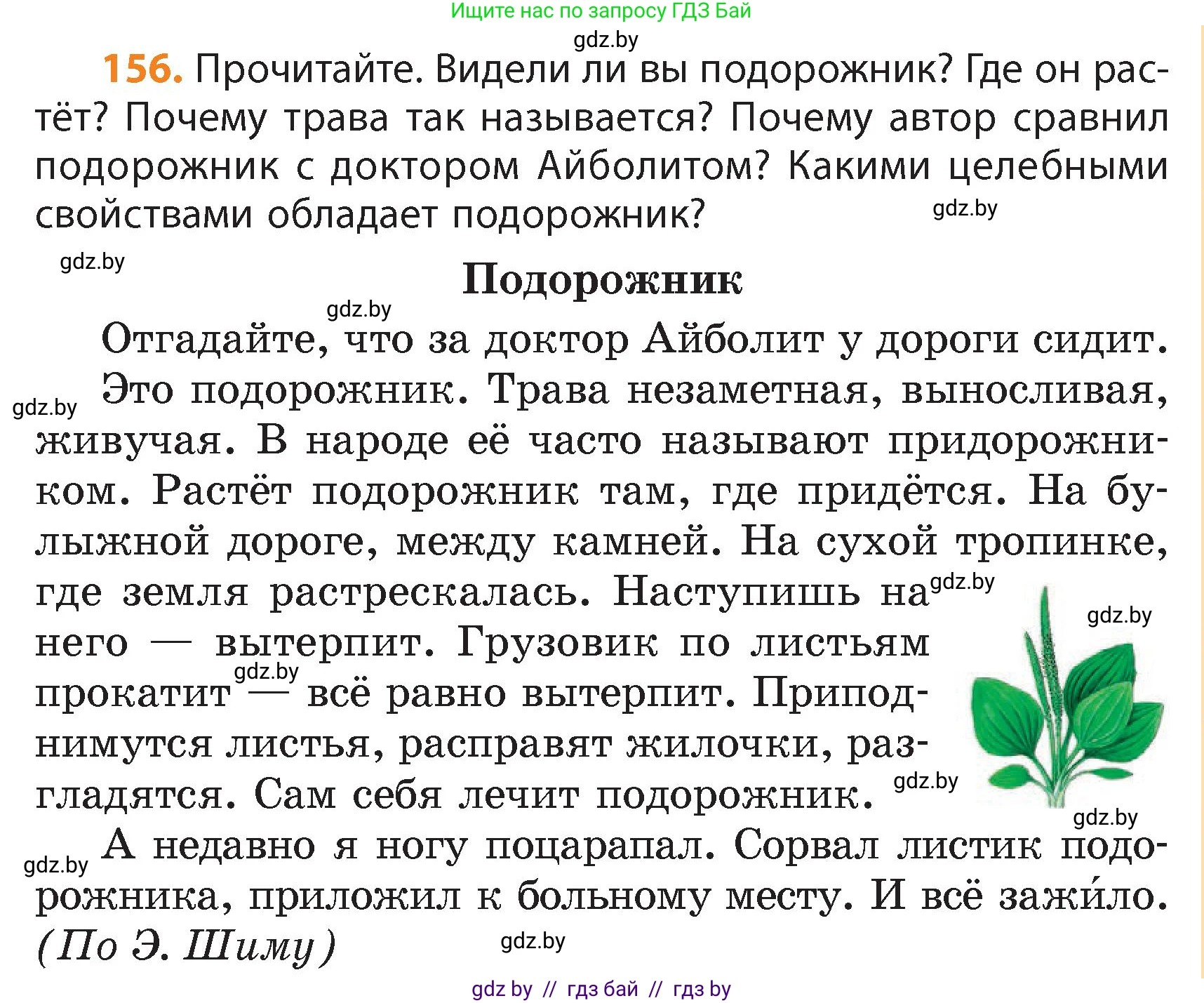 Русский язык, 4 класс Учебник, авторы: Антипова Маргарита Борисовна, Верниковская Алла Викторовна, Грабчикова Елена Самарьевна, издательство Академия образования, Минск, 2024, оранжевого цвета, Часть 1, страница 91, номер 156, Условие
