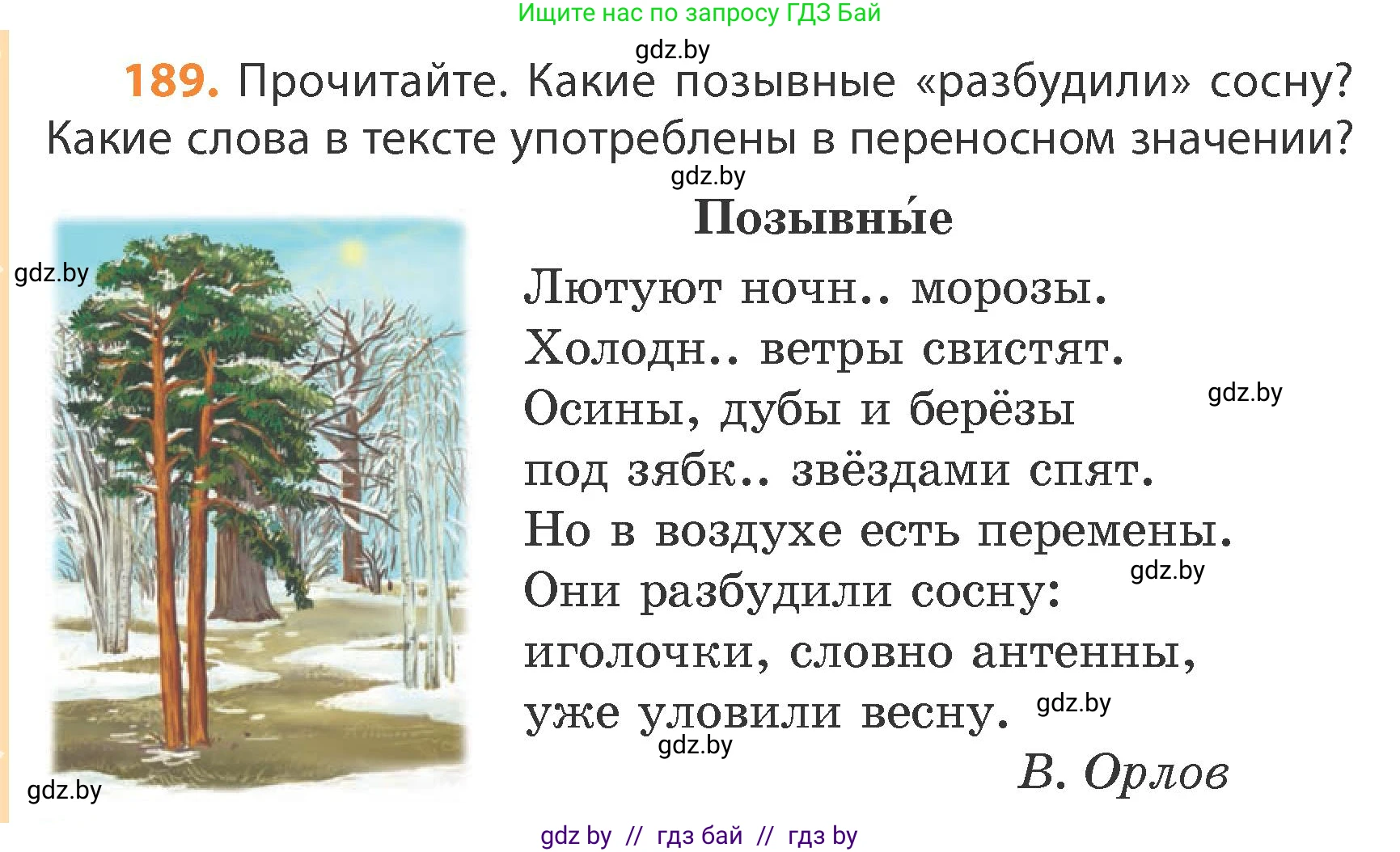 Русский язык, 4 класс Учебник, авторы: Антипова Маргарита Борисовна, Верниковская Алла Викторовна, Грабчикова Елена Самарьевна, издательство Академия образования, Минск, 2024, оранжевого цвета, Часть 1, страница 114, номер 189, Условие