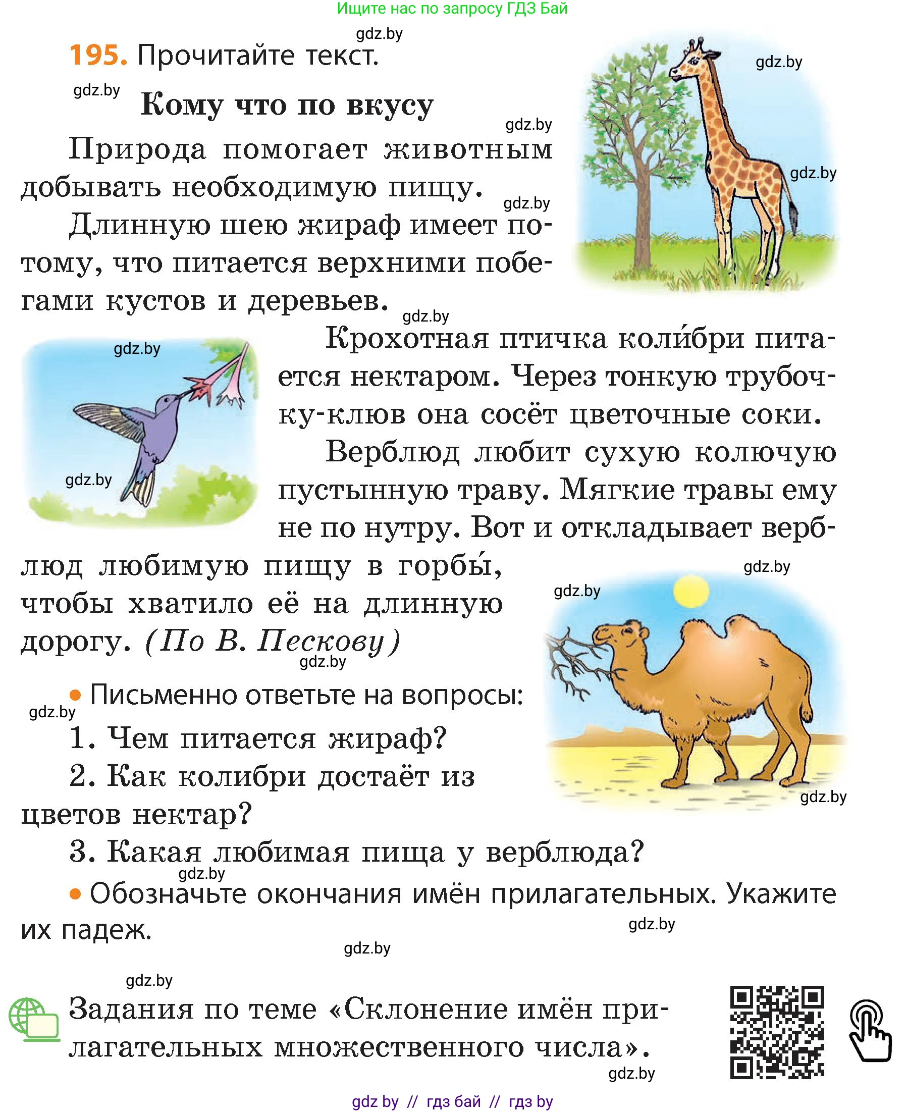 Русский язык, 4 класс Учебник, авторы: Антипова Маргарита Борисовна, Верниковская Алла Викторовна, Грабчикова Елена Самарьевна, издательство Академия образования, Минск, 2024, оранжевого цвета, Часть 1, страница 118, номер 195, Условие