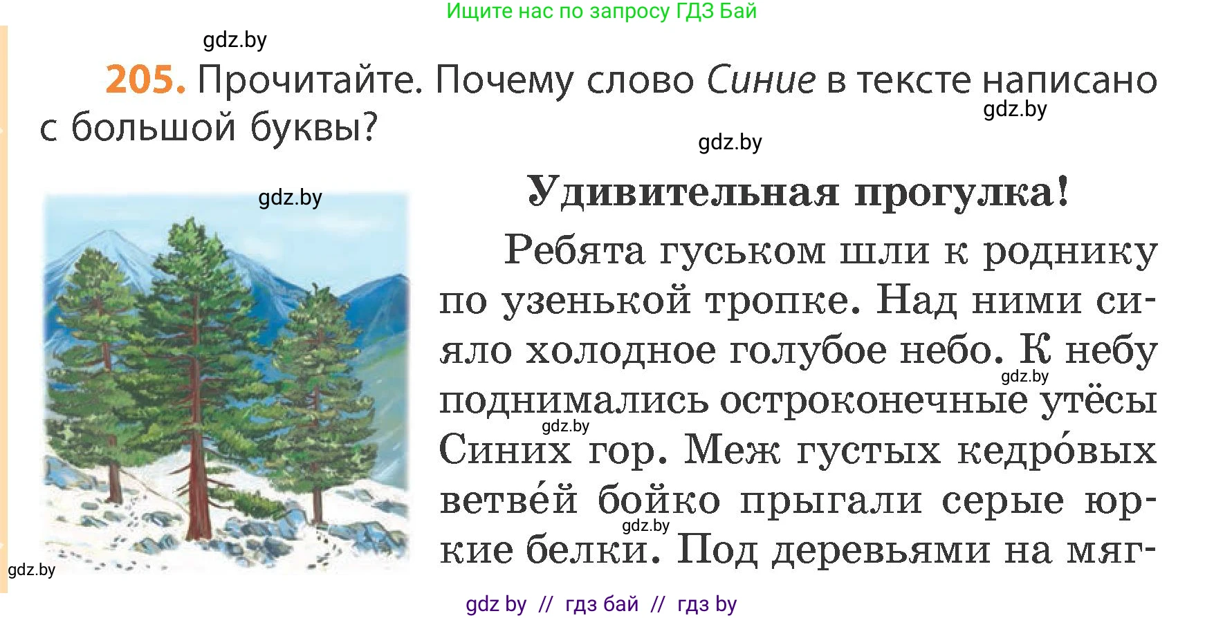 Русский язык, 4 класс Учебник, авторы: Антипова Маргарита Борисовна, Верниковская Алла Викторовна, Грабчикова Елена Самарьевна, издательство Академия образования, Минск, 2024, оранжевого цвета, Часть 1, страница 124, номер 205, Условие