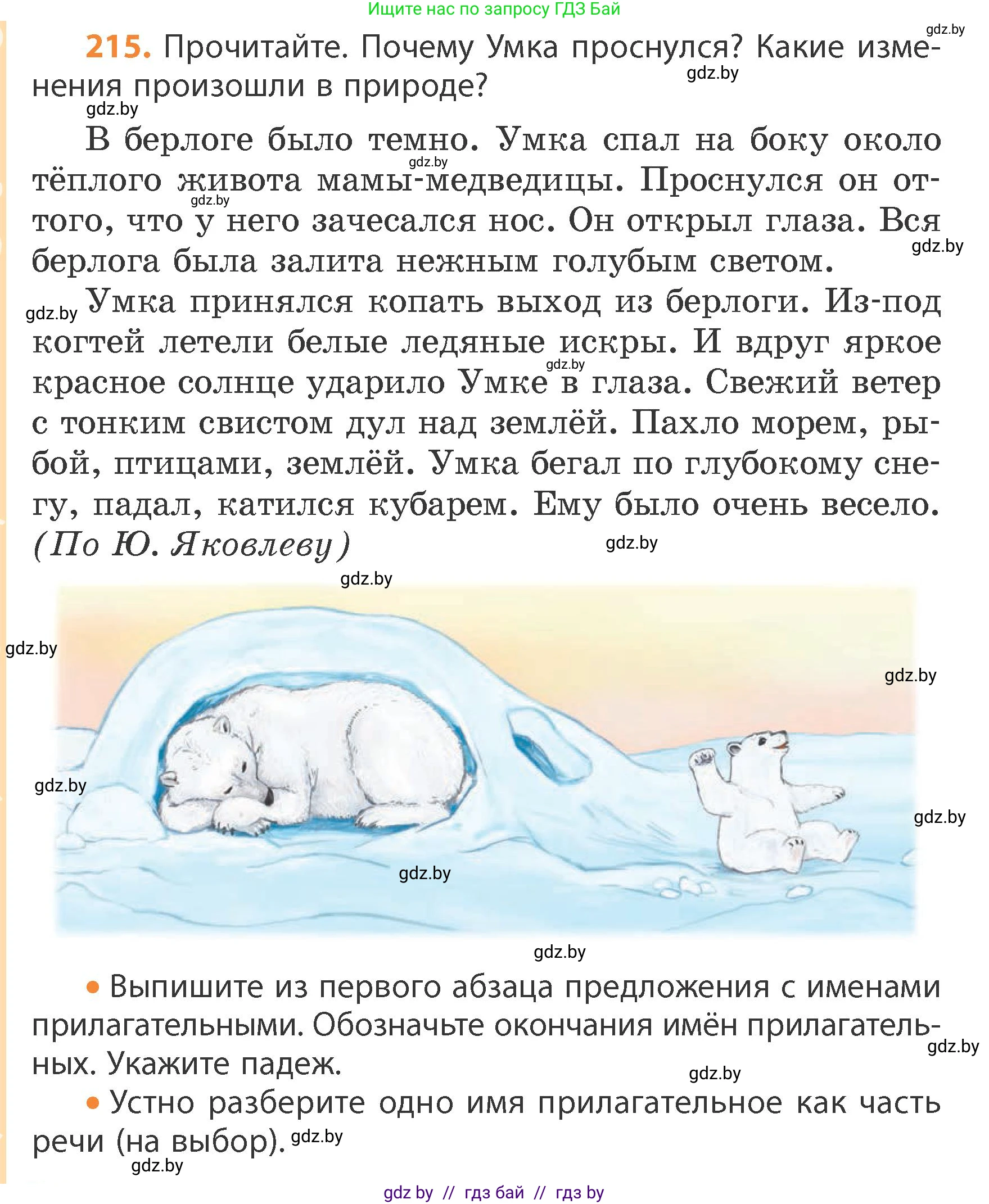Русский язык, 4 класс Учебник, авторы: Антипова Маргарита Борисовна, Верниковская Алла Викторовна, Грабчикова Елена Самарьевна, издательство Академия образования, Минск, 2024, оранжевого цвета, Часть 1, страница 132, номер 215, Условие