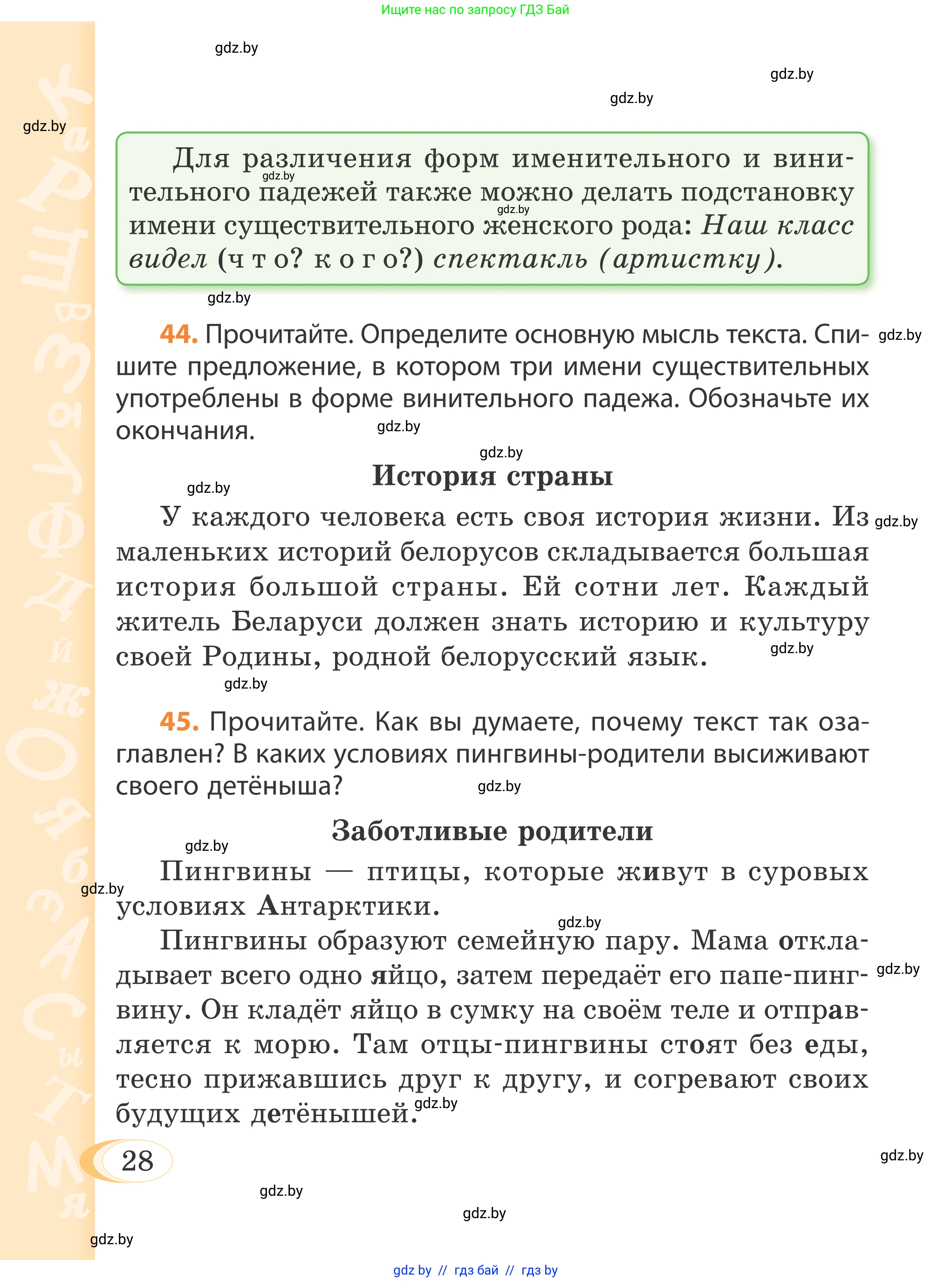 Русский язык, 4 класс Учебник, авторы: Антипова Маргарита Борисовна, Верниковская Алла Викторовна, Грабчикова Елена Самарьевна, издательство Академия образования, Минск, 2024, оранжевого цвета, Часть 1, страница 20, номер 28, Условие