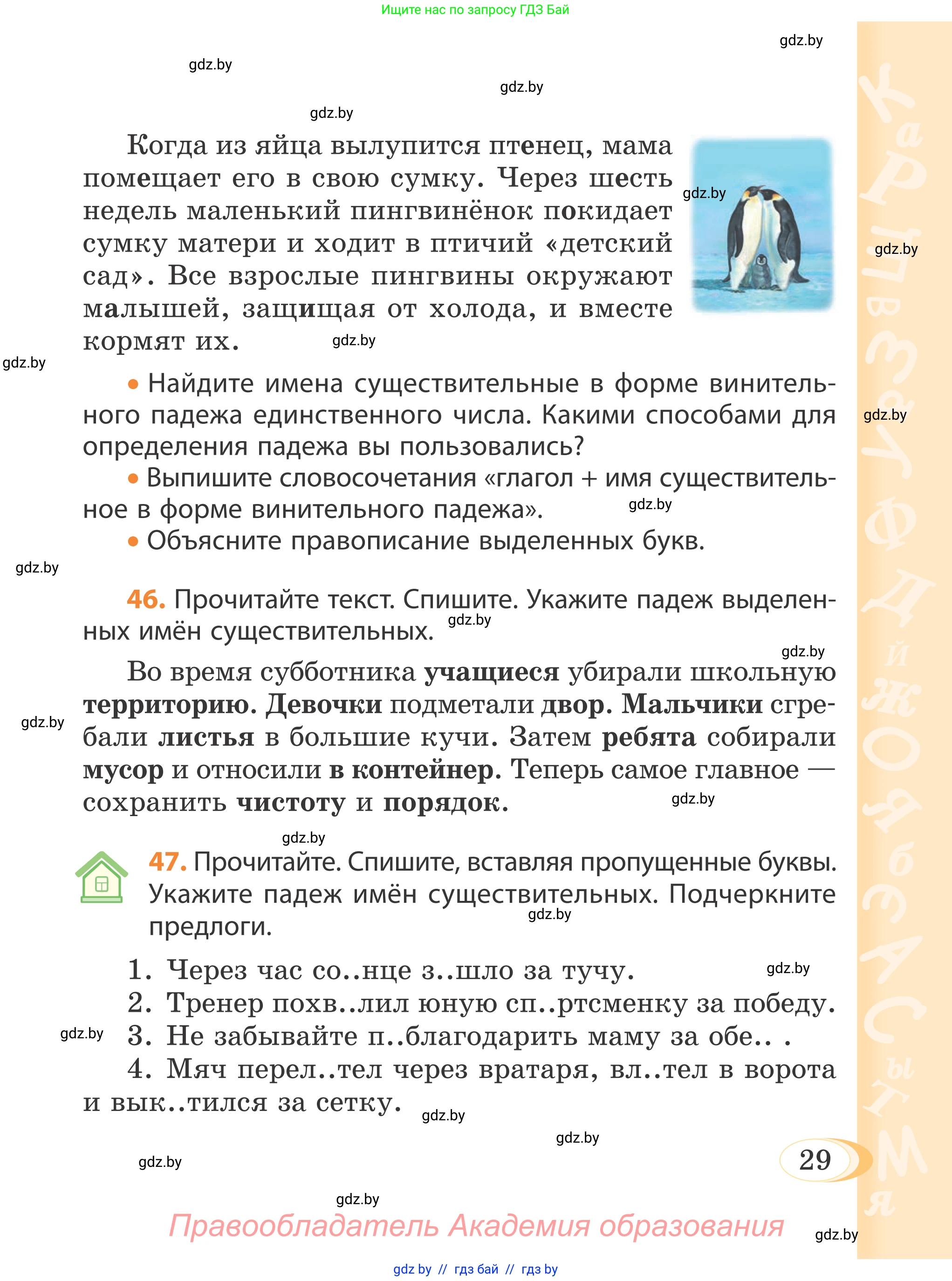 Русский язык, 4 класс Учебник, авторы: Антипова Маргарита Борисовна, Верниковская Алла Викторовна, Грабчикова Елена Самарьевна, издательство Академия образования, Минск, 2024, оранжевого цвета, Часть 1, страница 20, номер 29, Условие