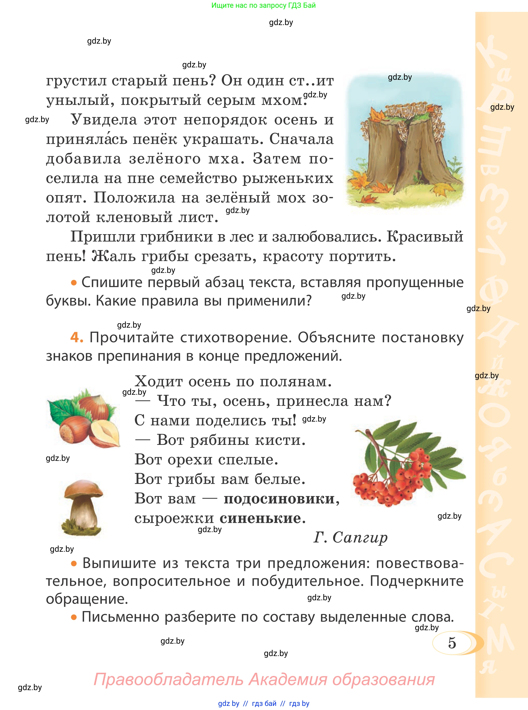 Русский язык, 4 класс Учебник, авторы: Антипова Маргарита Борисовна, Верниковская Алла Викторовна, Грабчикова Елена Самарьевна, издательство Академия образования, Минск, 2024, оранжевого цвета, Часть 1, страница 6, номер 5, Условие