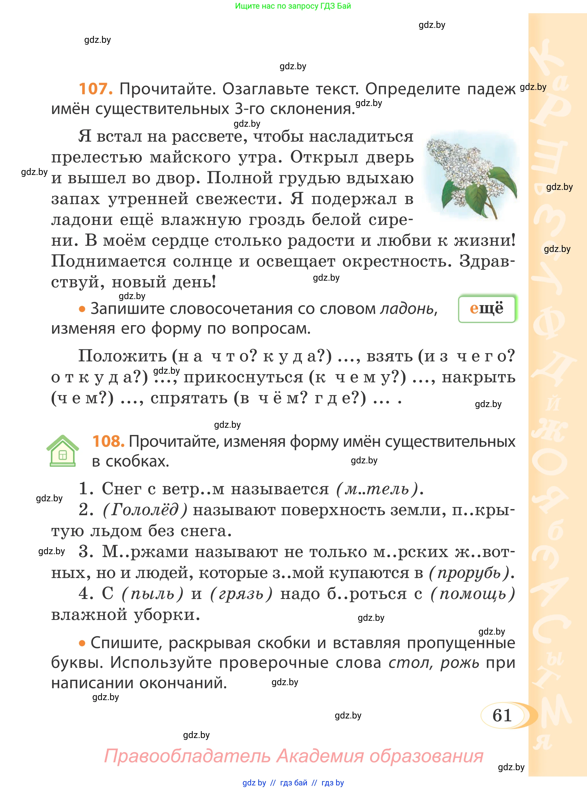 Русский язык, 4 класс Учебник, авторы: Антипова Маргарита Борисовна, Верниковская Алла Викторовна, Грабчикова Елена Самарьевна, издательство Академия образования, Минск, 2024, оранжевого цвета, Часть 1, страница 61
