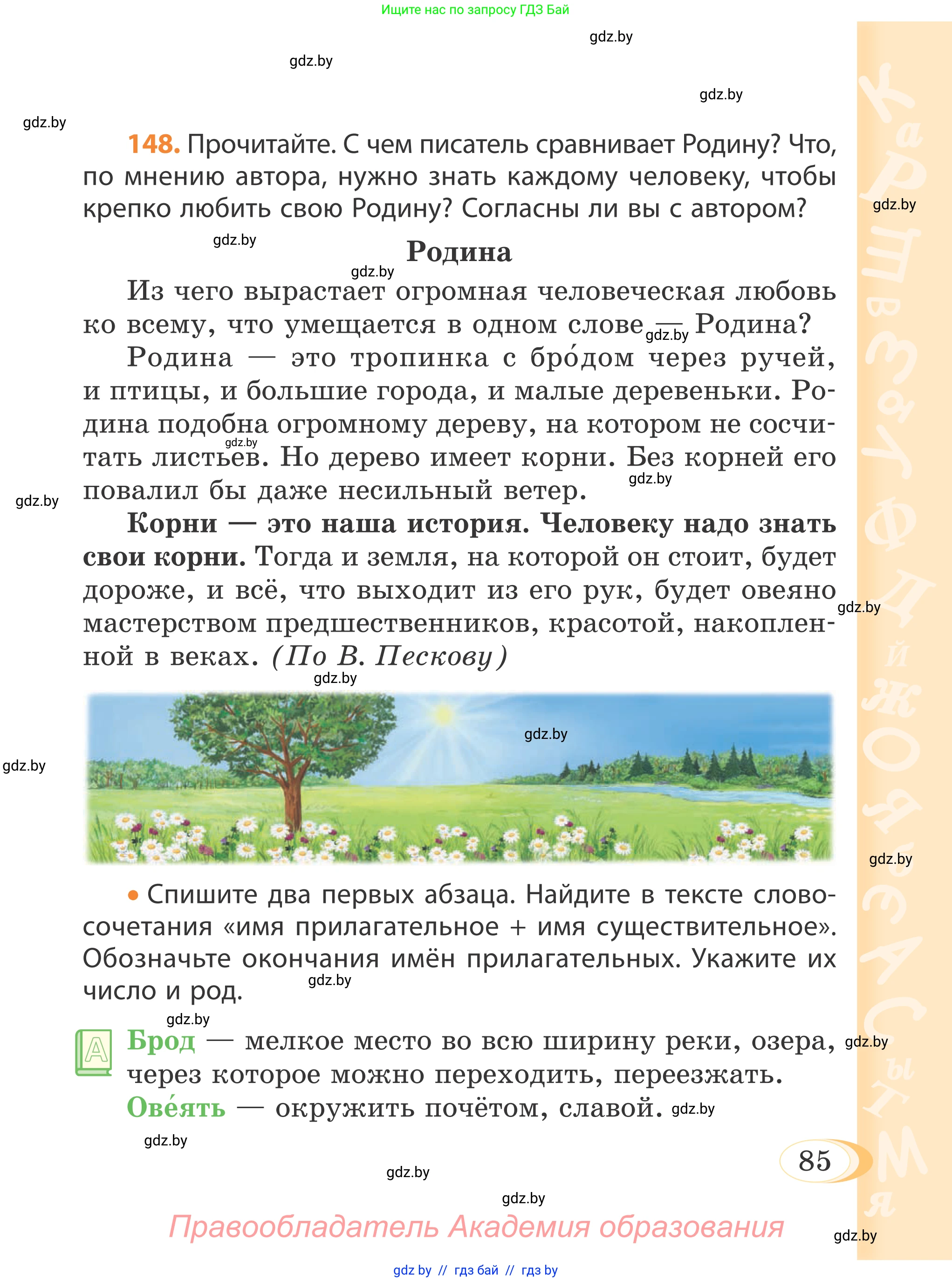 Русский язык, 4 класс Учебник, авторы: Антипова Маргарита Борисовна, Верниковская Алла Викторовна, Грабчикова Елена Самарьевна, издательство Академия образования, Минск, 2024, оранжевого цвета, Часть 1, страница 85
