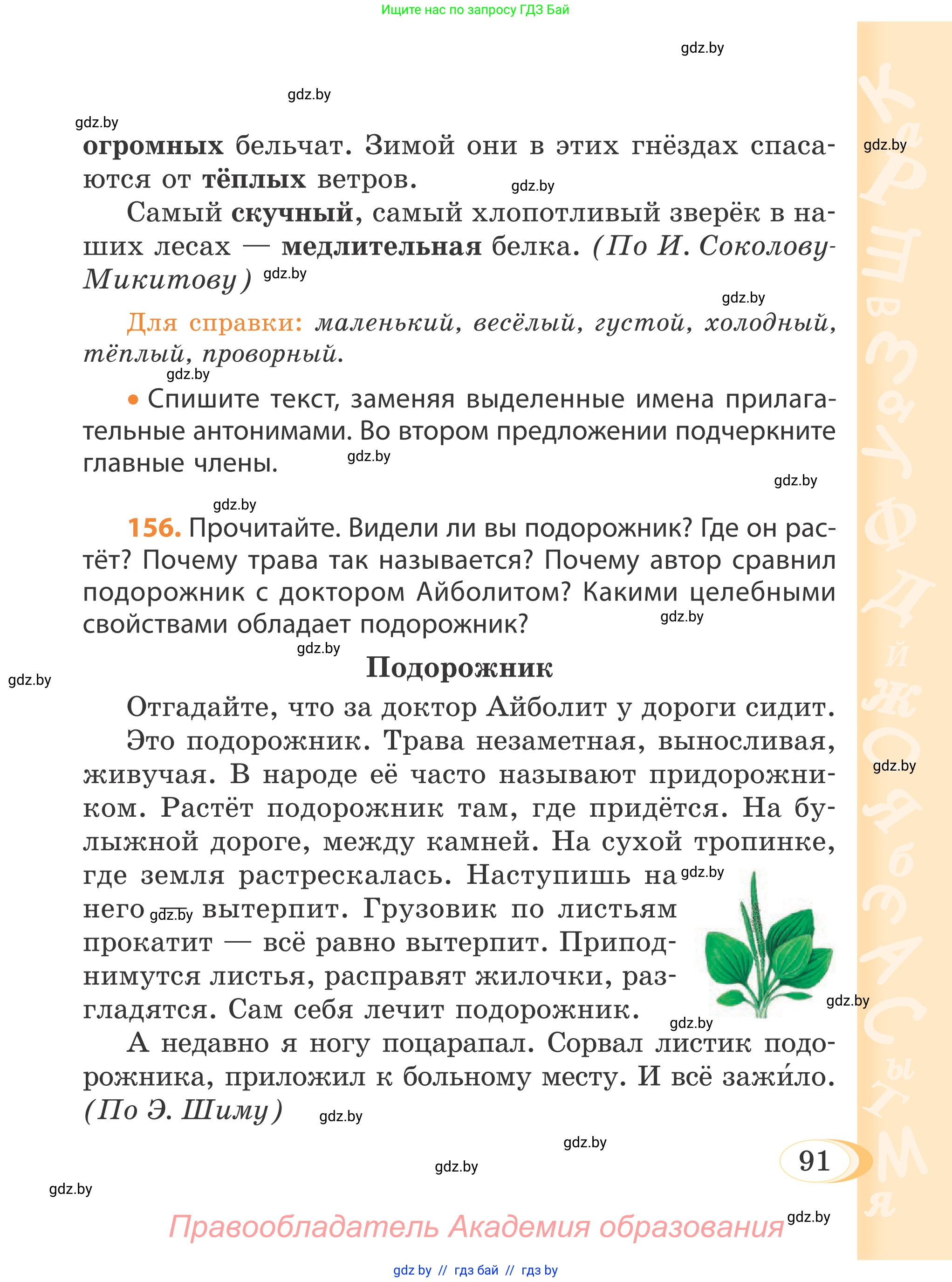 Русский язык, 4 класс Учебник, авторы: Антипова Маргарита Борисовна, Верниковская Алла Викторовна, Грабчикова Елена Самарьевна, издательство Академия образования, Минск, 2024, оранжевого цвета, Часть 1, страница 91