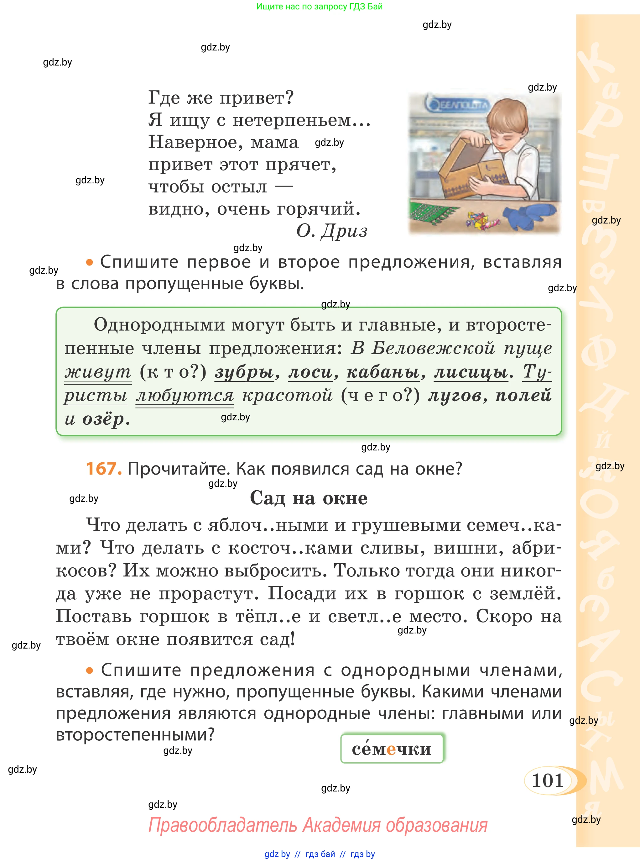 Русский язык, 4 класс Учебник, авторы: Антипова Маргарита Борисовна, Верниковская Алла Викторовна, Грабчикова Елена Самарьевна, издательство Академия образования, Минск, 2024, оранжевого цвета, Часть 1, страница 101