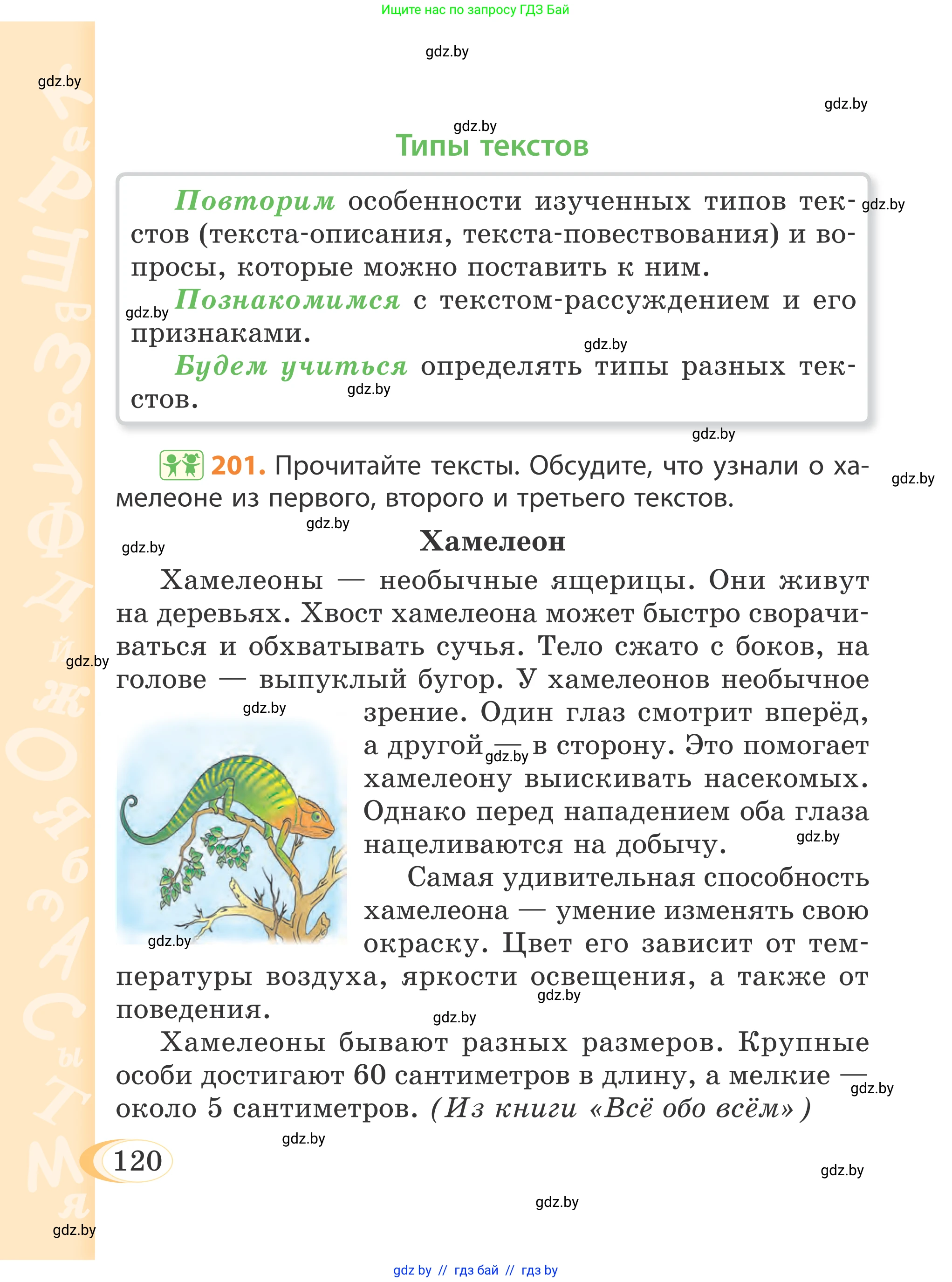 Русский язык, 4 класс Учебник, авторы: Антипова Маргарита Борисовна, Верниковская Алла Викторовна, Грабчикова Елена Самарьевна, издательство Академия образования, Минск, 2024, оранжевого цвета, Часть 1, страница 120