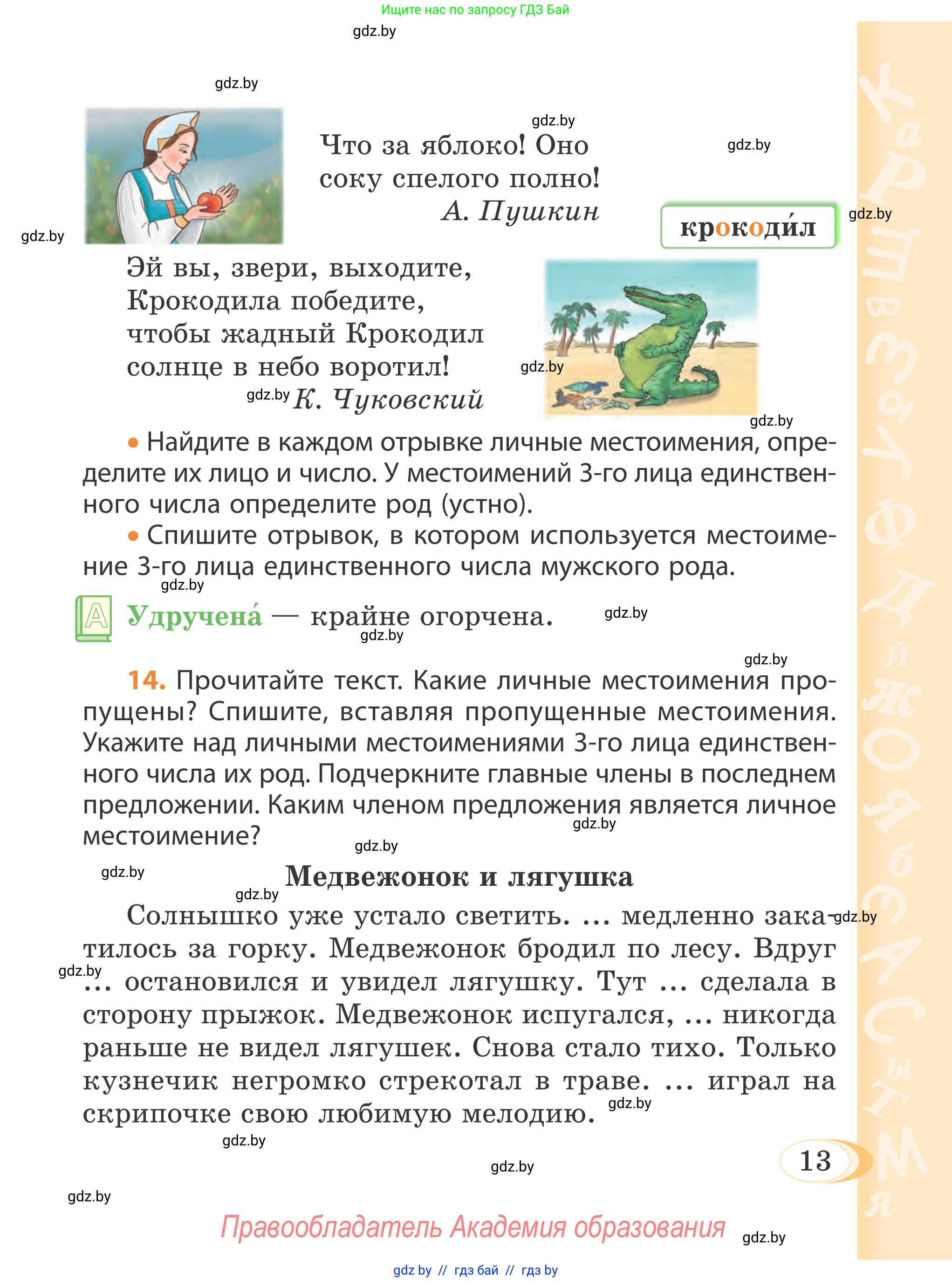 Русский язык, 4 класс Учебник, авторы: Антипова Маргарита Борисовна, Верниковская Алла Викторовна, Грабчикова Елена Самарьевна, издательство Академия образования, Минск, 2024, оранжевого цвета, Часть 1, страница 13