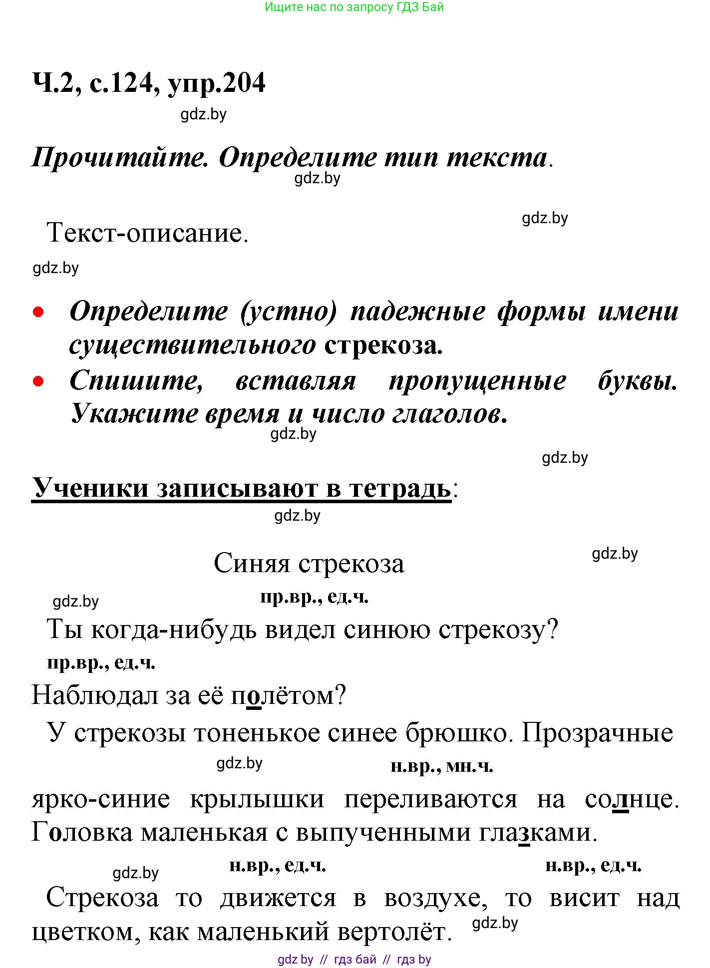 Русский язык, 4 класс Учебник, авторы: Антипова Маргарита Борисовна, Верниковская Алла Викторовна, Грабчикова Елена Самарьевна, издательство Академия образования, Минск, 2024, оранжевого цвета, Часть 2, страница 124, номер 204, Решение