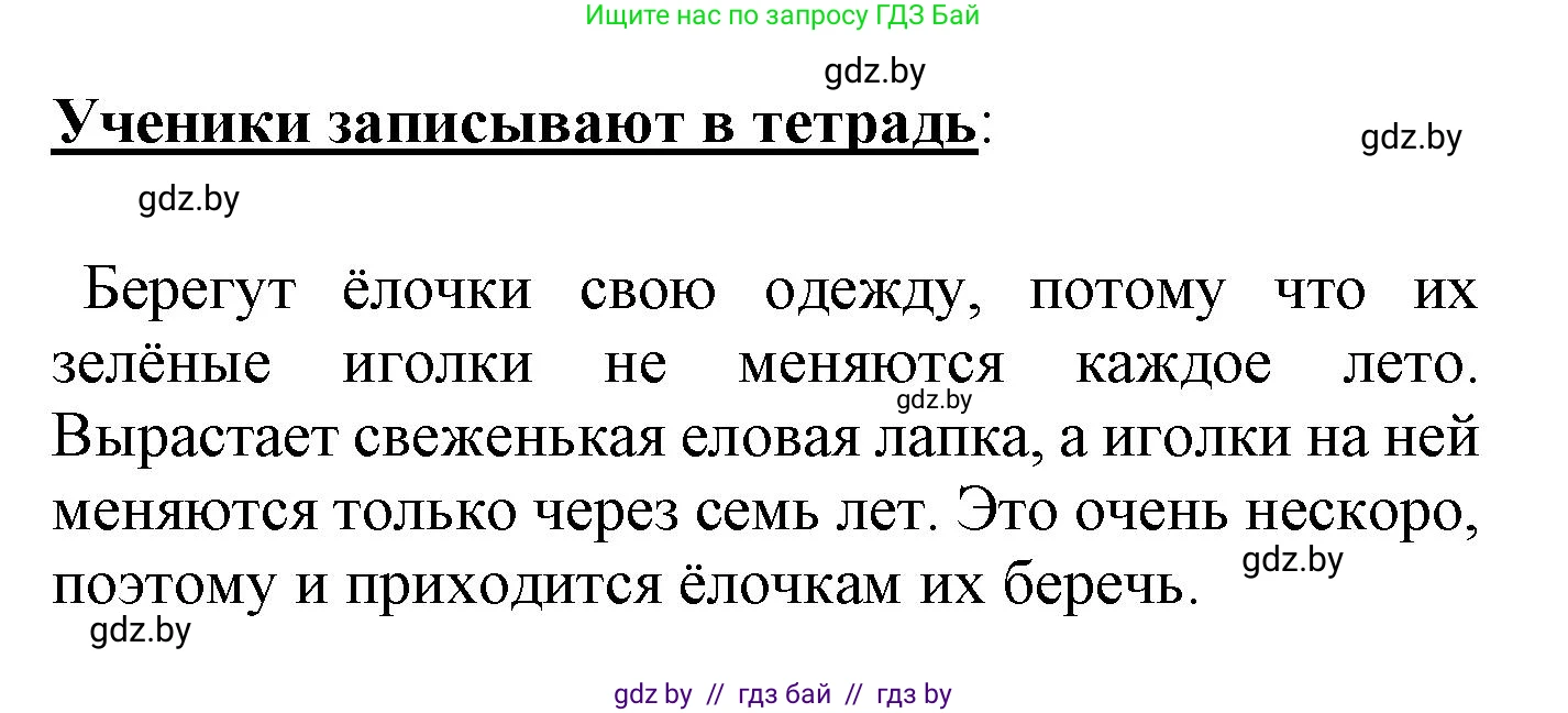 Русский язык, 4 класс Учебник, авторы: Антипова Маргарита Борисовна, Верниковская Алла Викторовна, Грабчикова Елена Самарьевна, издательство Академия образования, Минск, 2024, оранжевого цвета, Часть 2, страница 128, номер 210, Решение (продолжение 2)