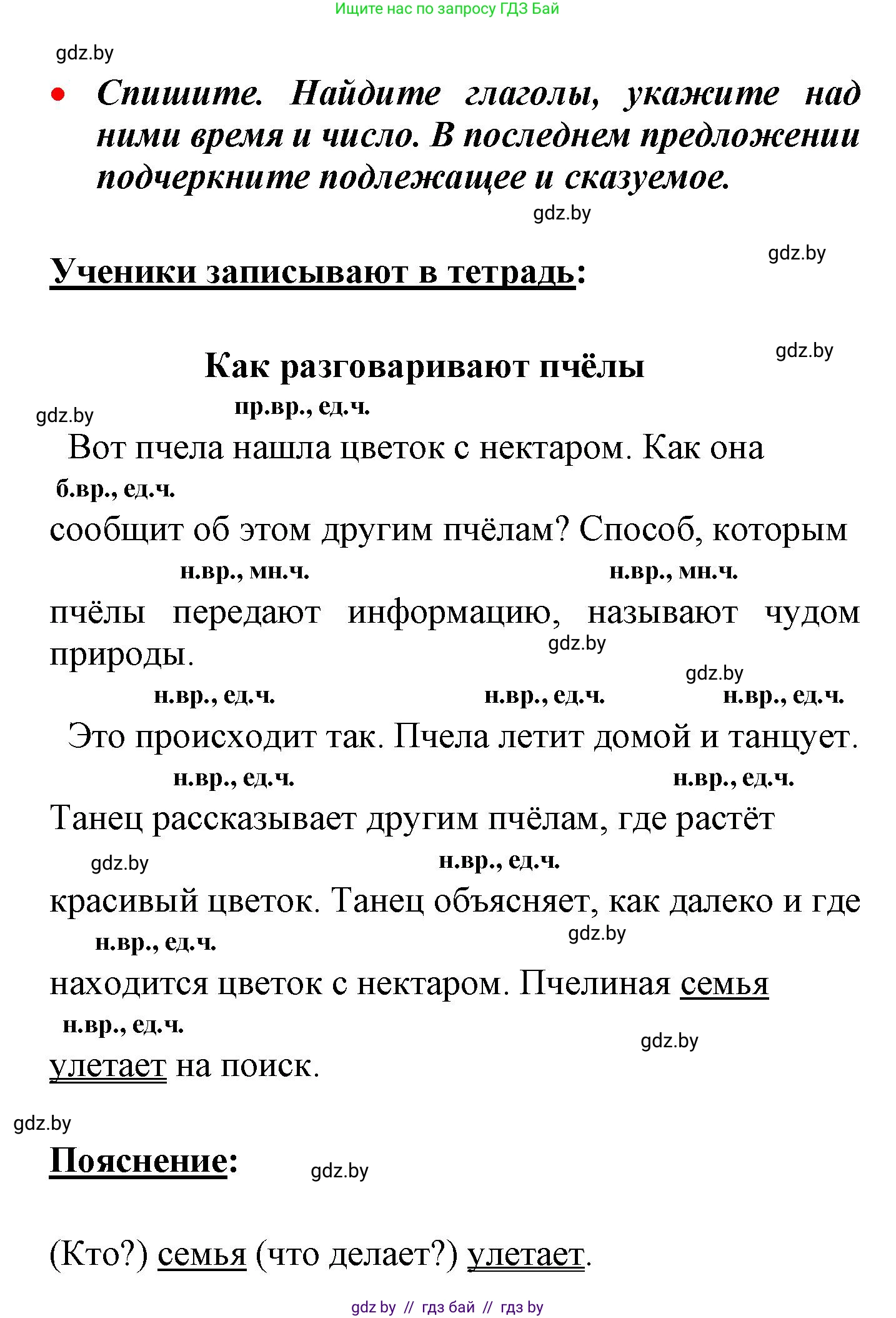 Русский язык, 4 класс Учебник, авторы: Антипова Маргарита Борисовна, Верниковская Алла Викторовна, Грабчикова Елена Самарьевна, издательство Академия образования, Минск, 2024, оранжевого цвета, Часть 2, страница 30, номер 43, Решение (продолжение 2)