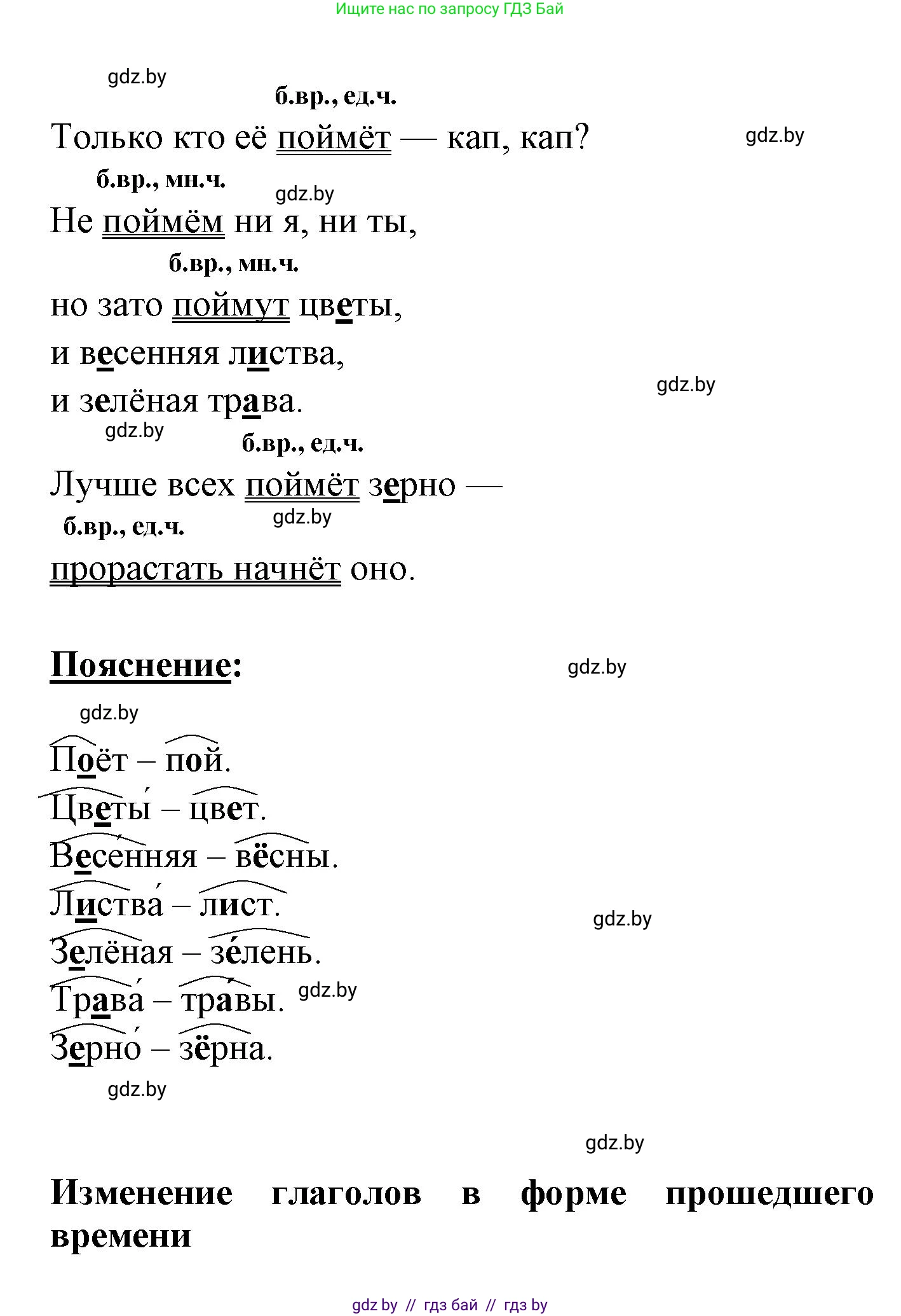 Русский язык, 4 класс Учебник, авторы: Антипова Маргарита Борисовна, Верниковская Алла Викторовна, Грабчикова Елена Самарьевна, издательство Академия образования, Минск, 2024, оранжевого цвета, Часть 2, страница 30, номер 44, Решение (продолжение 2)