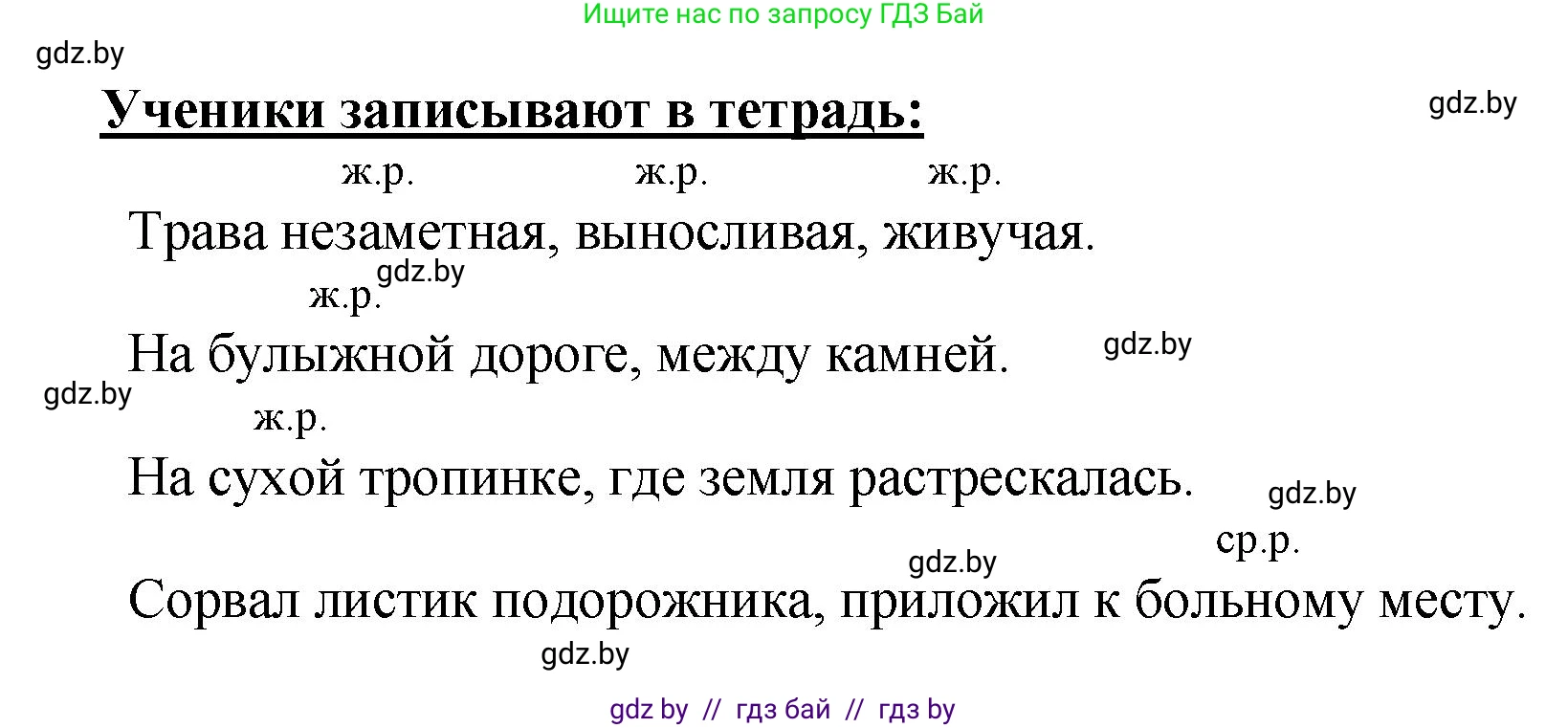 Русский язык, 4 класс Учебник, авторы: Антипова Маргарита Борисовна, Верниковская Алла Викторовна, Грабчикова Елена Самарьевна, издательство Академия образования, Минск, 2024, оранжевого цвета, Часть 1, страница 91, номер 156, Решение (продолжение 2)