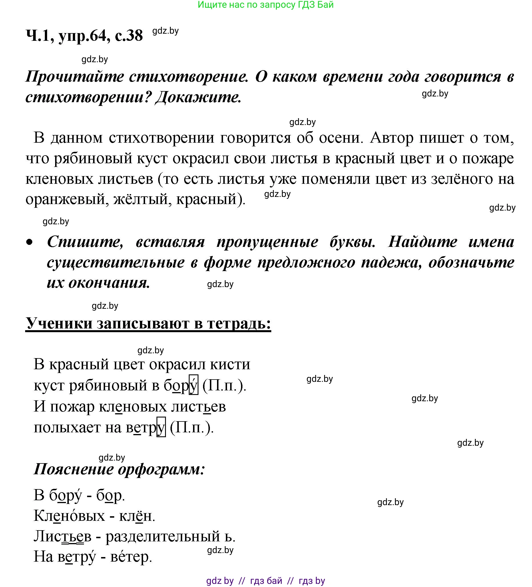 Русский язык, 4 класс Учебник, авторы: Антипова Маргарита Борисовна, Верниковская Алла Викторовна, Грабчикова Елена Самарьевна, издательство Академия образования, Минск, 2024, оранжевого цвета, Часть 1, страница 38, номер 64, Решение