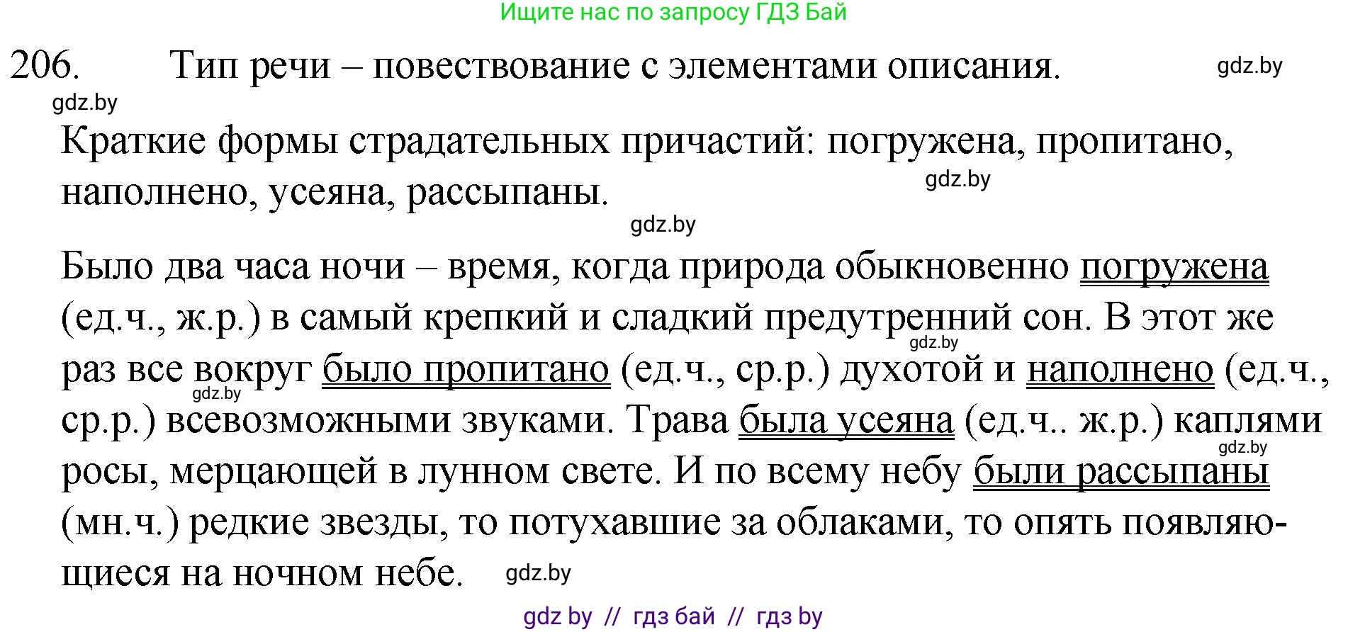 Русский язык, 7 класс Учебник, авторы: Волынец Татьяна Николаевна, Литвинко Франя Михайловна, Долбик Елена Евгеньевна, Таяновская И В, Винник И Р, издательство Национальный институт образования, Минск, 2020, бирюзового цвета, страница 101, номер 206, Решение