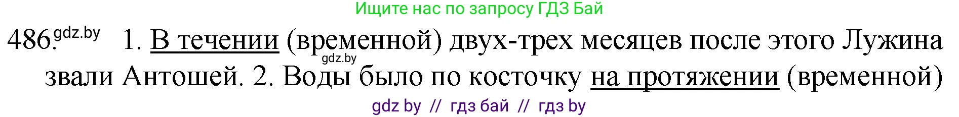 Русский язык, 7 класс Учебник, авторы: Волынец Татьяна Николаевна, Литвинко Франя Михайловна, Долбик Елена Евгеньевна, Таяновская И В, Винник И Р, издательство Национальный институт образования, Минск, 2020, бирюзового цвета, страница 234, номер 486, Решение