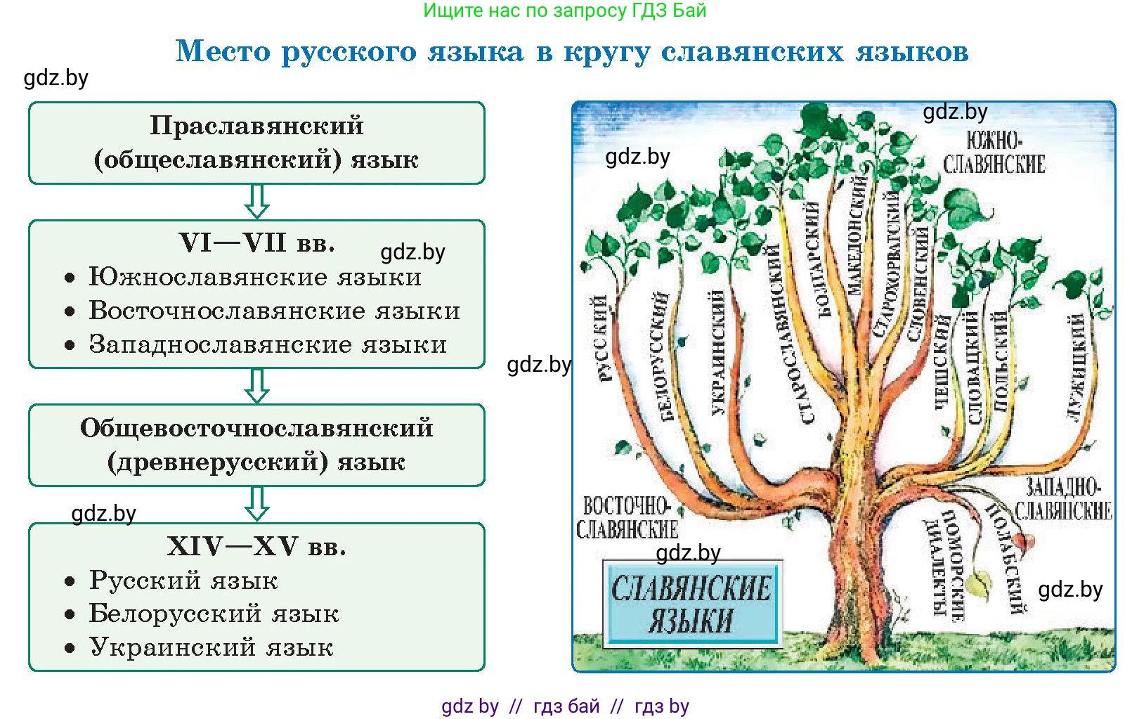 Русский язык, 10 класс Учебник, авторы: Леонович Валентина Леонидовна, Саникович Валентина Александровна, Литвинко Франя Михайловна, Волынец Татьяна Николаевна, Долбик Елена Евгеньевна, Малецкая М И, Мурина Лариса Александровна, Таяновская И В, издательство Национальный институт образования, Минск, 2020, страница 14, номер 18, Условие (продолжение 2)