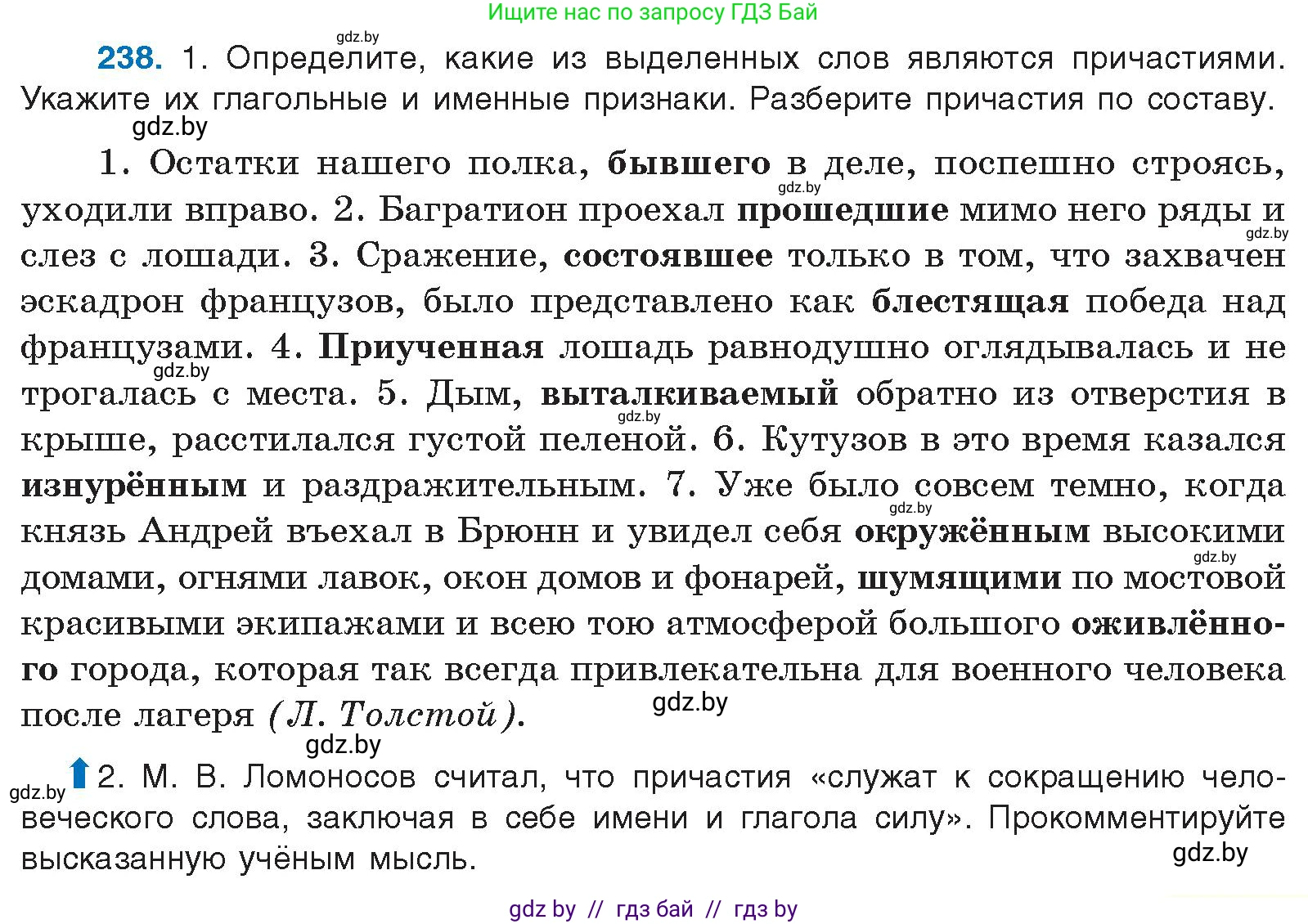 Русский язык, 10 класс Учебник, авторы: Леонович Валентина Леонидовна, Саникович Валентина Александровна, Литвинко Франя Михайловна, Волынец Татьяна Николаевна, Долбик Елена Евгеньевна, Малецкая М И, Мурина Лариса Александровна, Таяновская И В, издательство Национальный институт образования, Минск, 2020, страница 133, номер 238, Условие