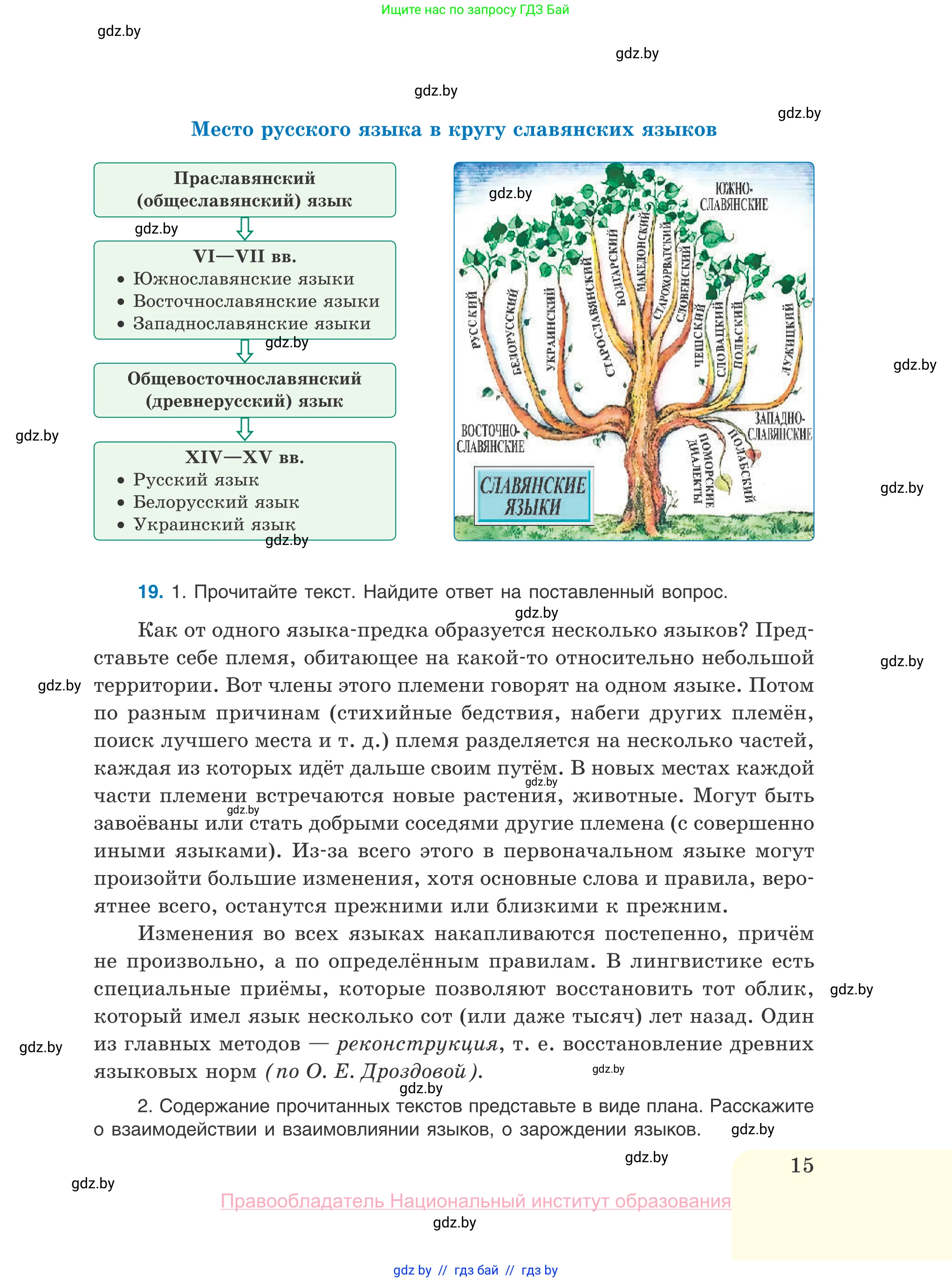 Русский язык, 10 класс Учебник, авторы: Леонович Валентина Леонидовна, Саникович Валентина Александровна, Литвинко Франя Михайловна, Волынец Татьяна Николаевна, Долбик Елена Евгеньевна, Малецкая М И, Мурина Лариса Александровна, Таяновская И В, издательство Национальный институт образования, Минск, 2020, страница 15
