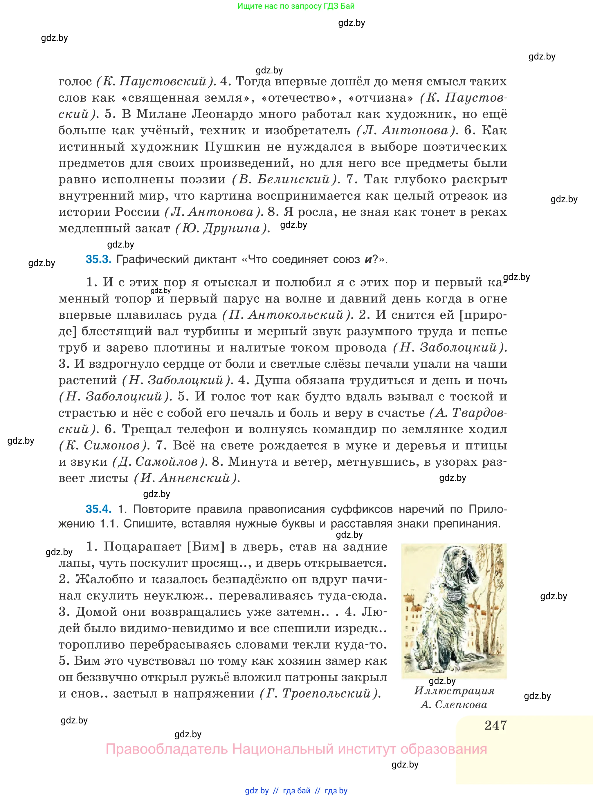 Русский язык, 11 класс Учебник, авторы: Долбик Елена Евгеньевна, Литвинко Франя Михайловна, Мурина Лариса Александровна, Шиманович Т В, Таяновская И В, Орловская О Я, издательство Национальный институт образования, Минск, 2021, страница 247