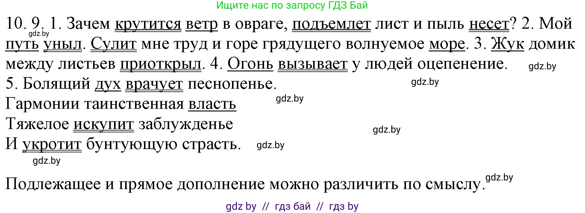 Русский язык, 11 класс Учебник, авторы: Долбик Елена Евгеньевна, Литвинко Франя Михайловна, Мурина Лариса Александровна, Шиманович Т В, Таяновская И В, Орловская О Я, издательство Национальный институт образования, Минск, 2021, страница 63, номер 10.9, Решение