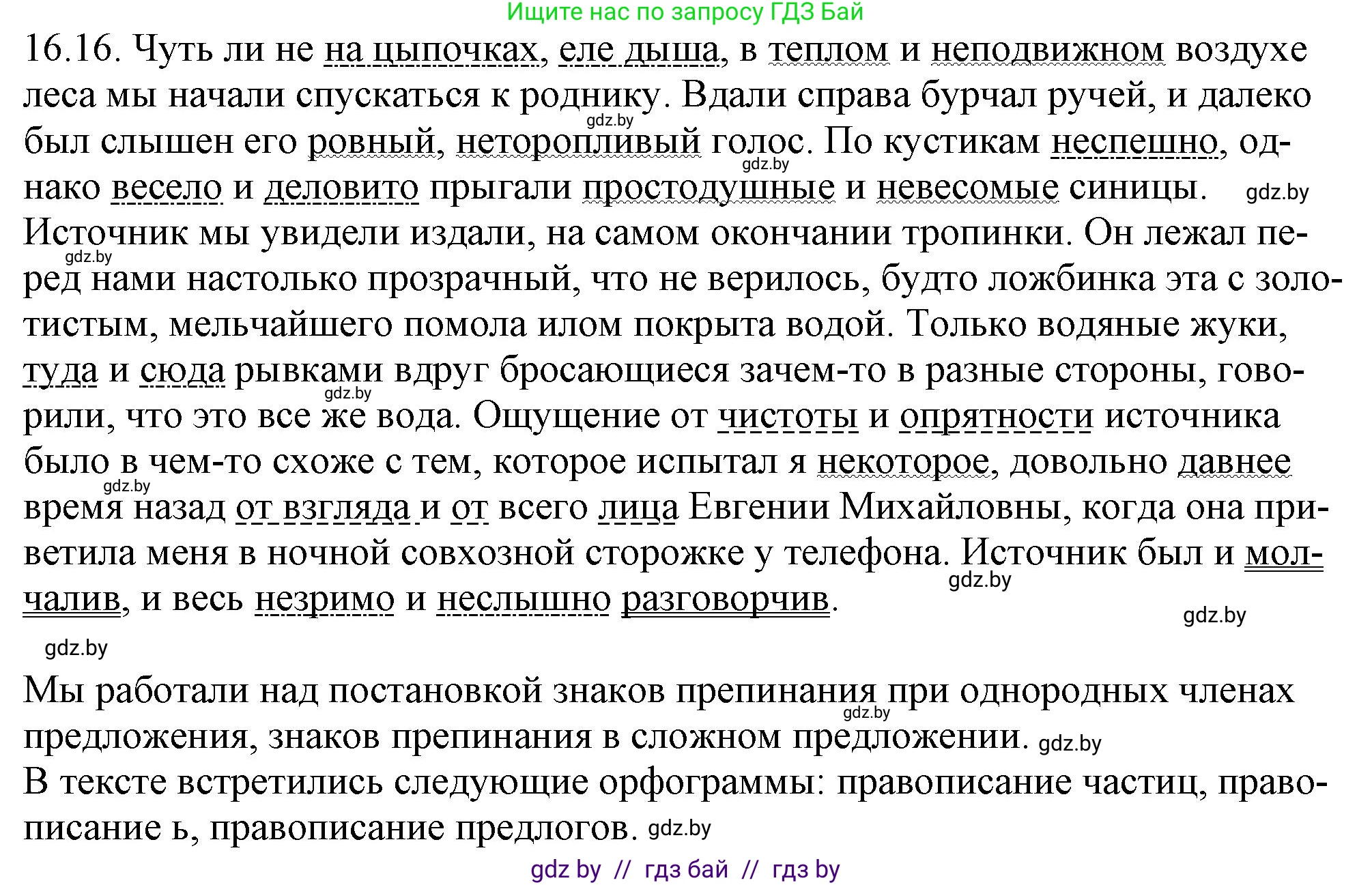 Русский язык, 11 класс Учебник, авторы: Долбик Елена Евгеньевна, Литвинко Франя Михайловна, Мурина Лариса Александровна, Шиманович Т В, Таяновская И В, Орловская О Я, издательство Национальный институт образования, Минск, 2021, страница 101, номер 16.16, Решение